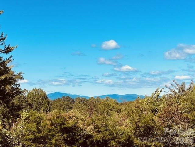 Single Family Residence at Rutherfordton, photo 2 of 46