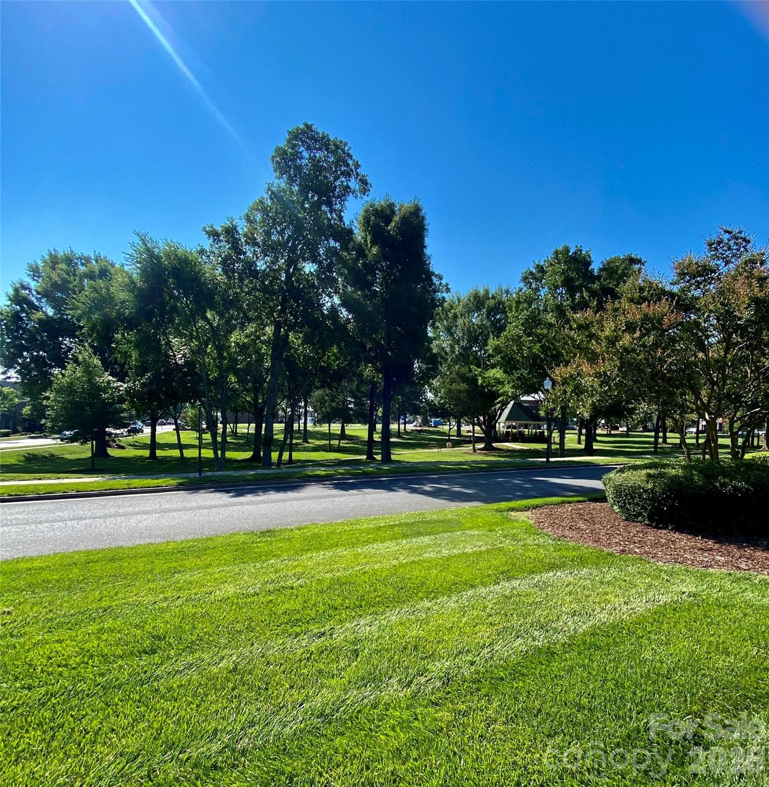 Lake Park with lots of green area. - 6025 Creft Circle, Indian Trail