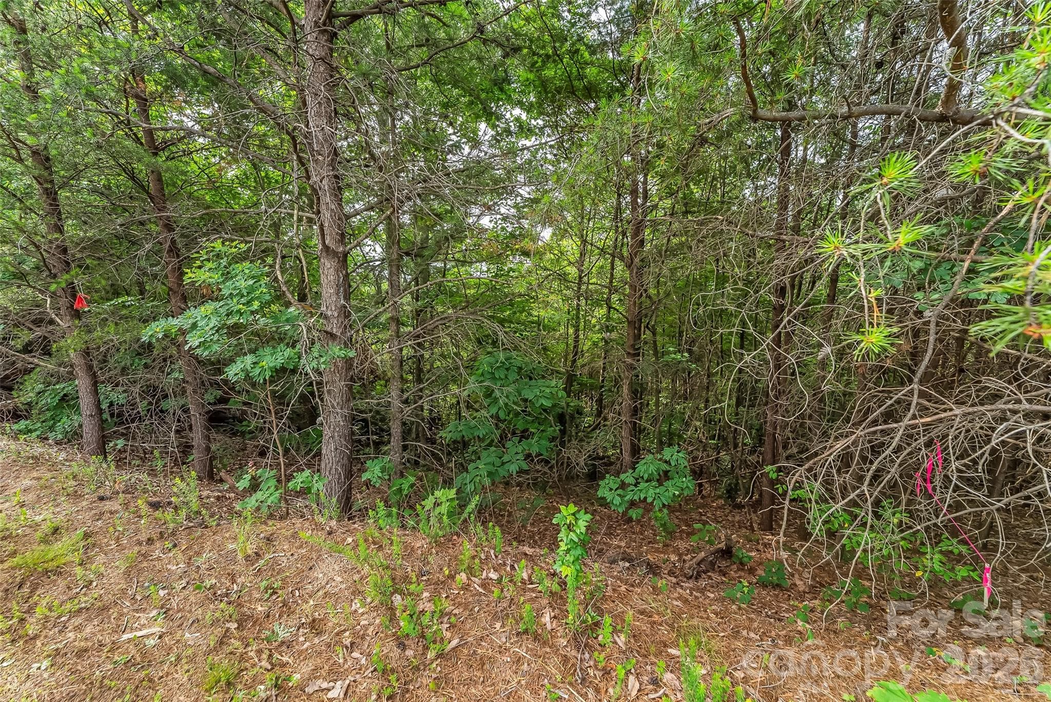 Single Family Residence at 0 Brighton Drive, Bostic, photo 17 of 23