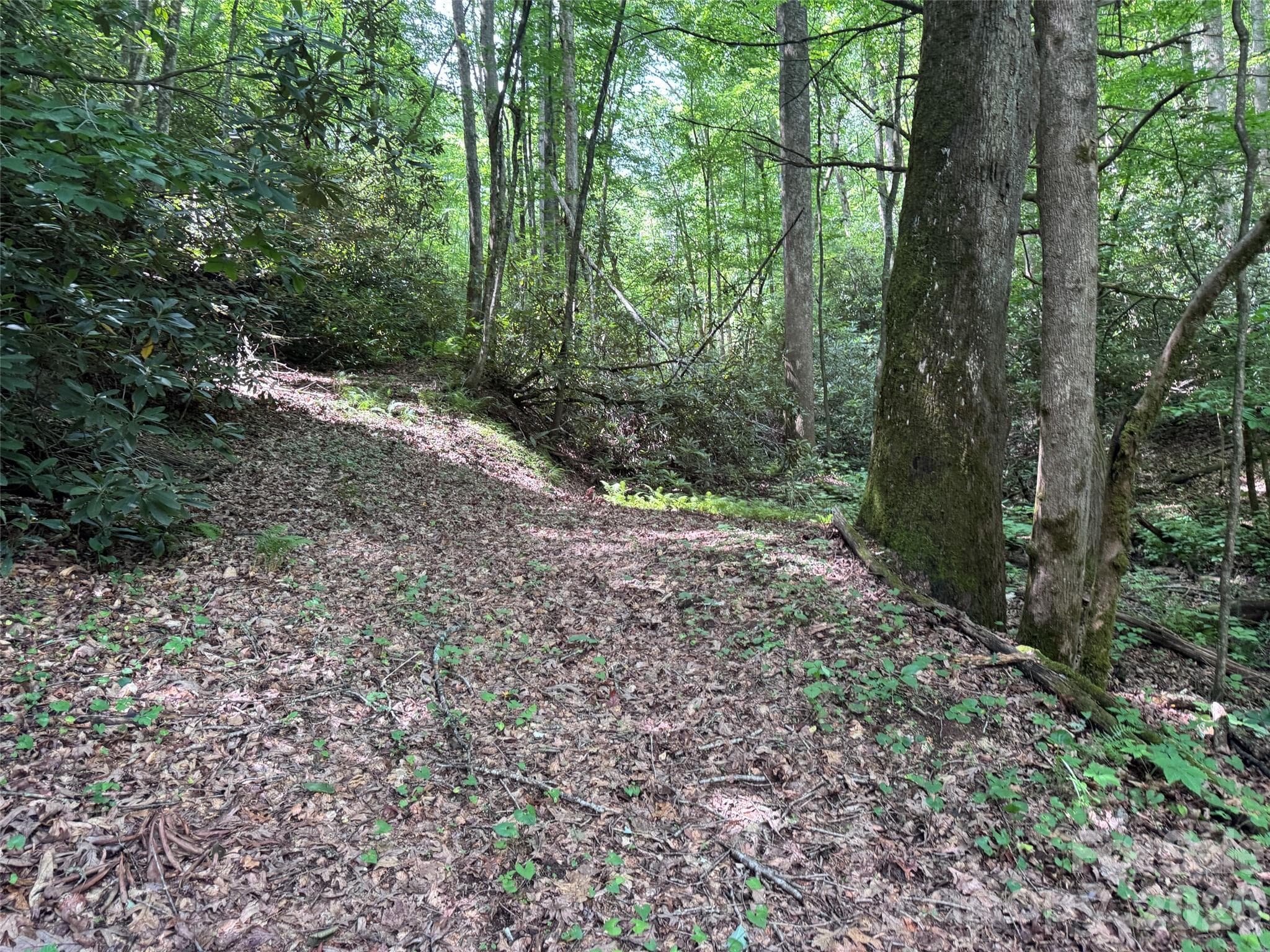 Lot at Brevard, photo 2 of 33
