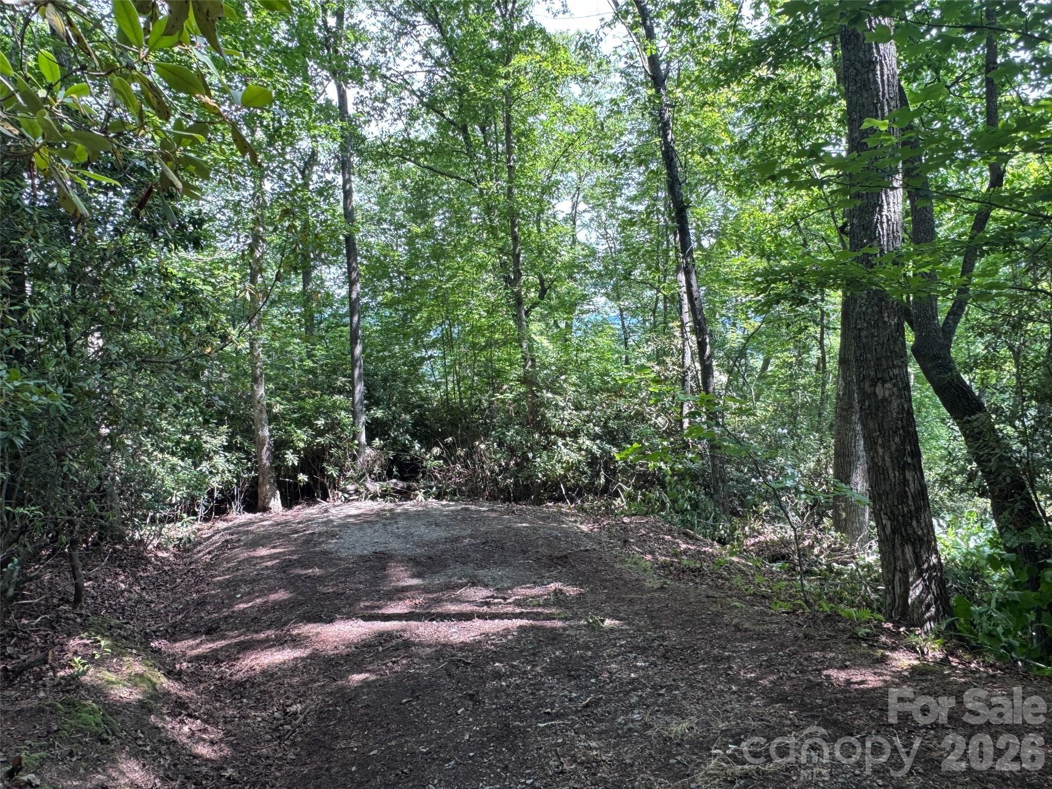 Lot at Brevard, photo 3 of 33