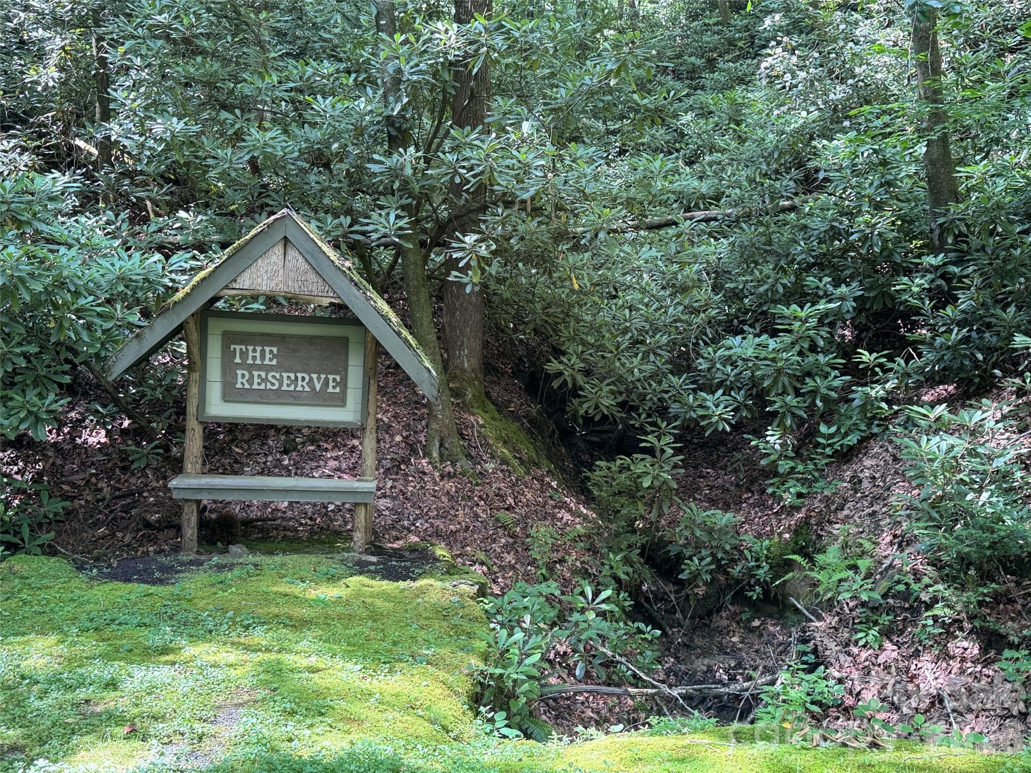 Lot at Brevard, photo 4 of 33