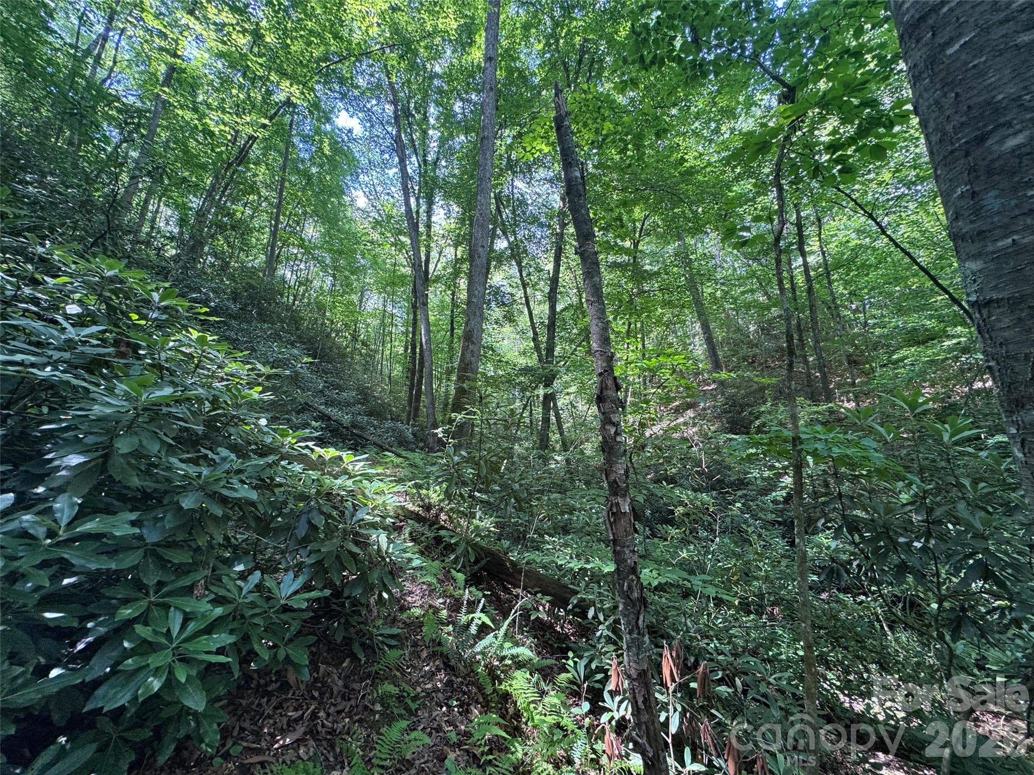 Lot at Brevard, photo 7 of 33