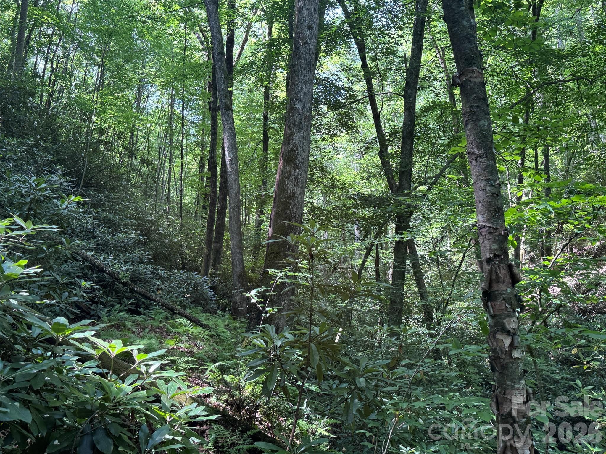 Lot at Brevard, photo 8 of 33