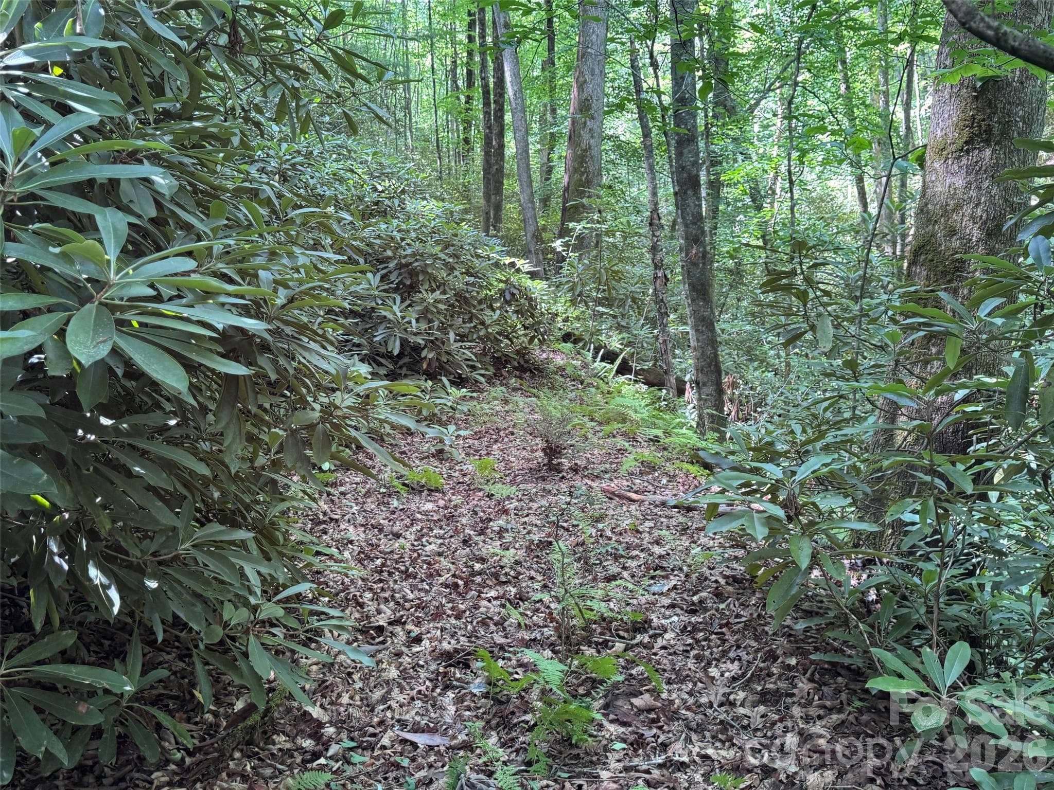 Lot at Brevard, photo 9 of 33