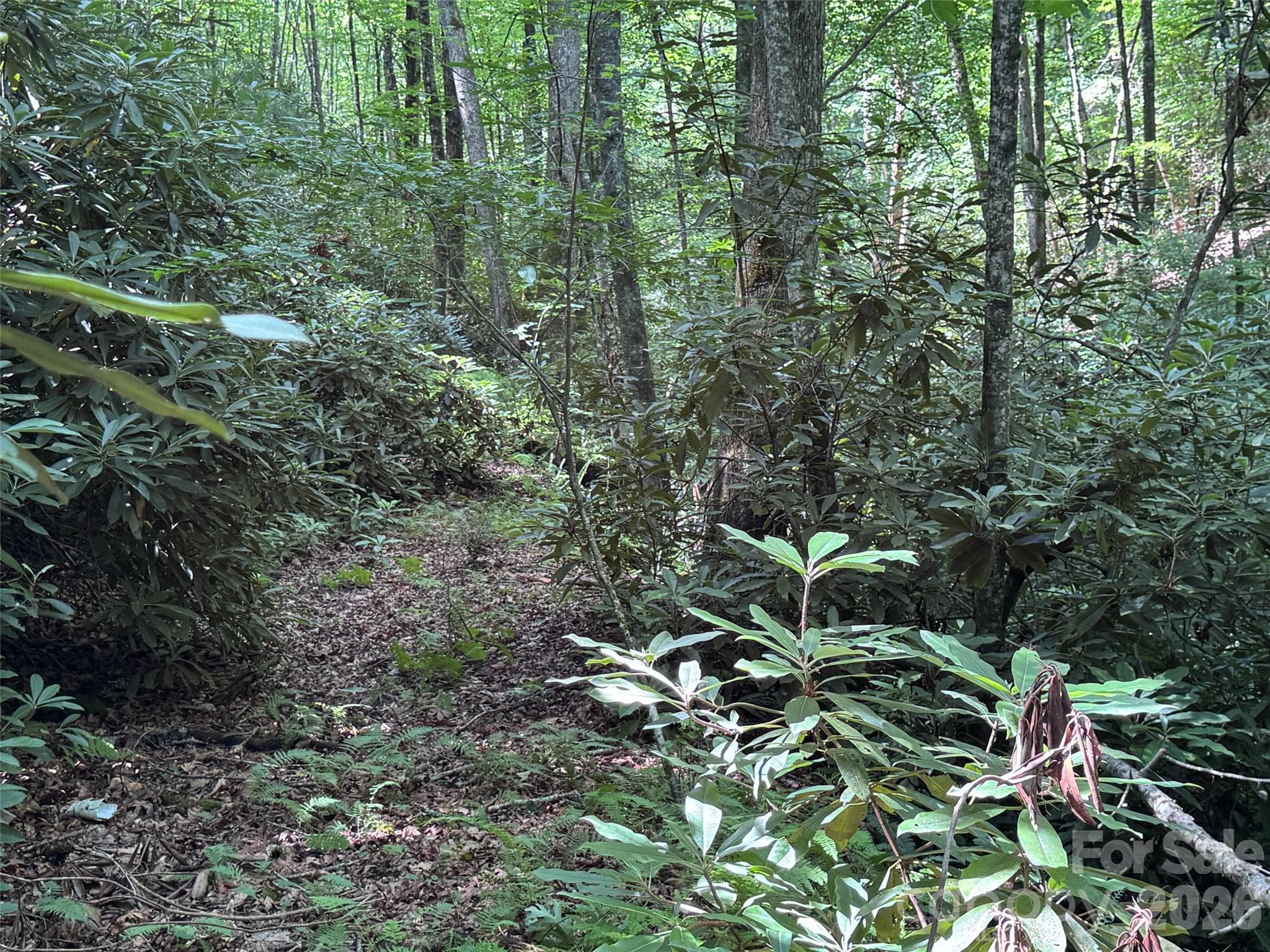 Lot at Brevard, photo 10 of 33