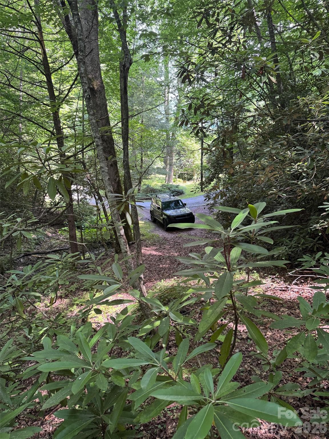 Lot at Brevard, photo 12 of 33