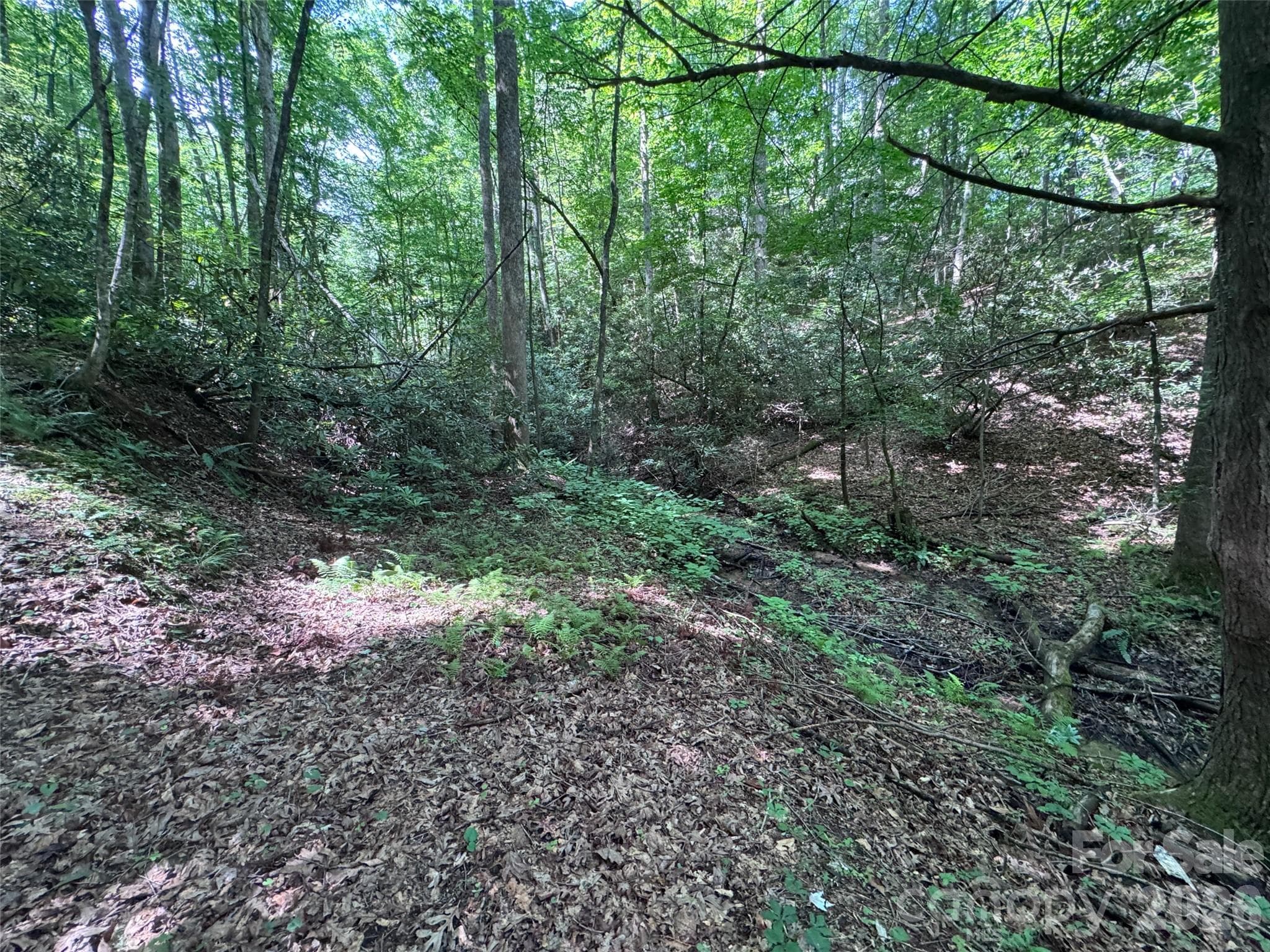 Lot at Brevard, photo 15 of 33