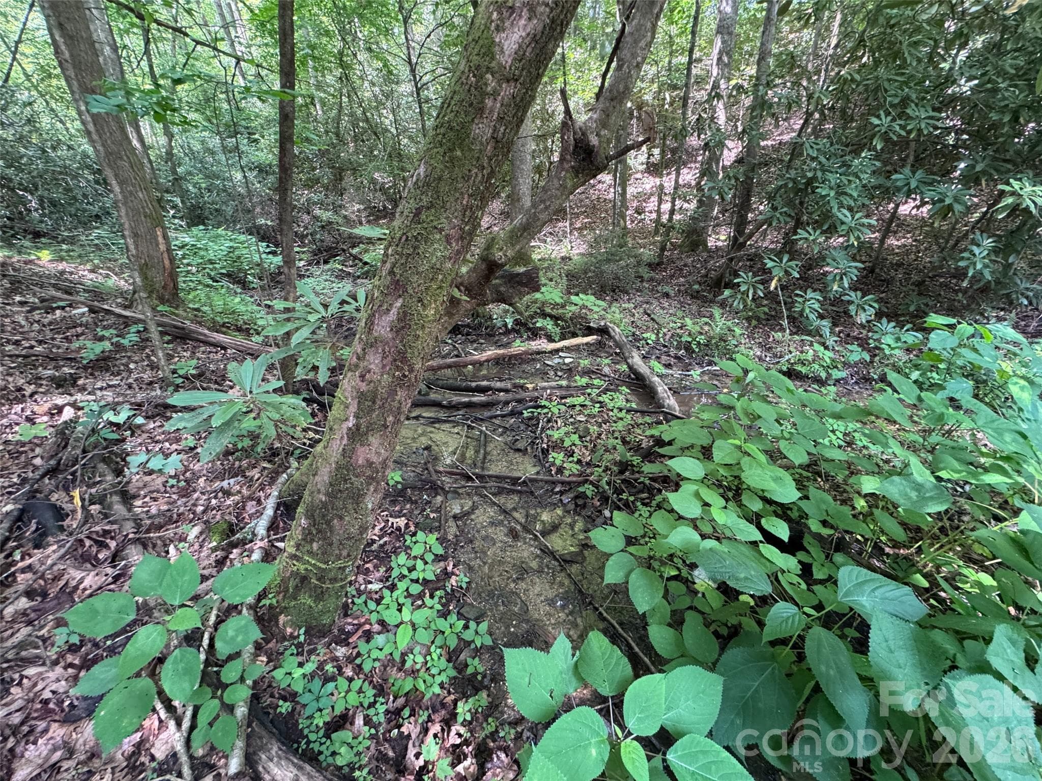 Lot at Brevard, photo 16 of 33