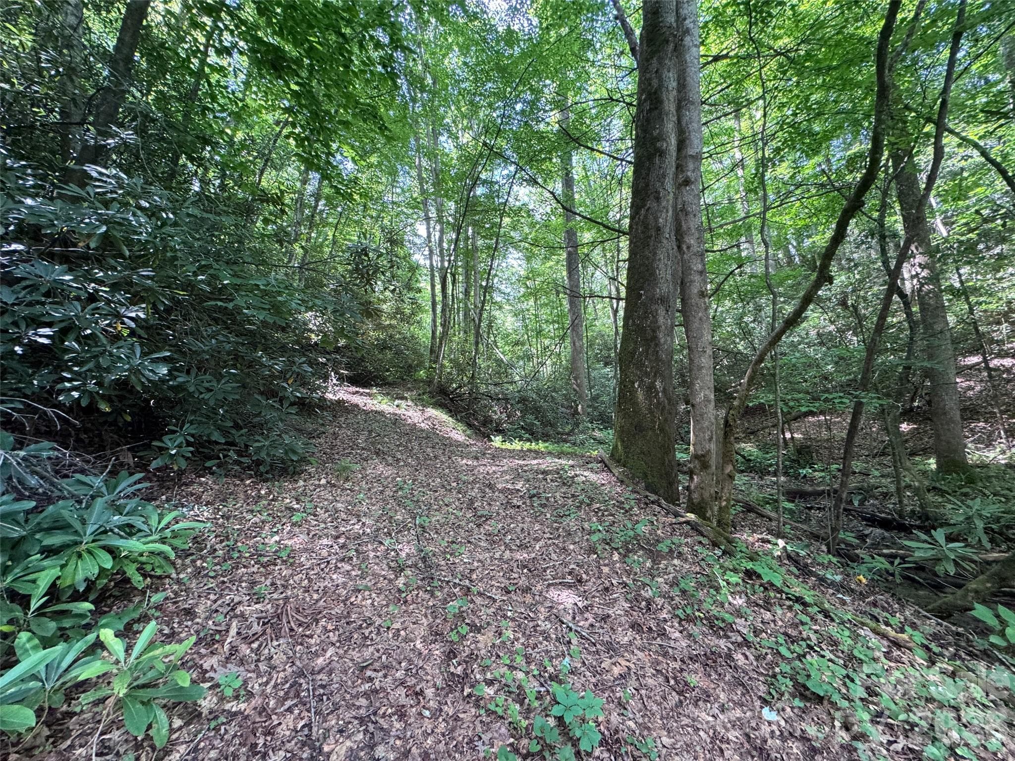 Lot at Brevard, photo 17 of 33