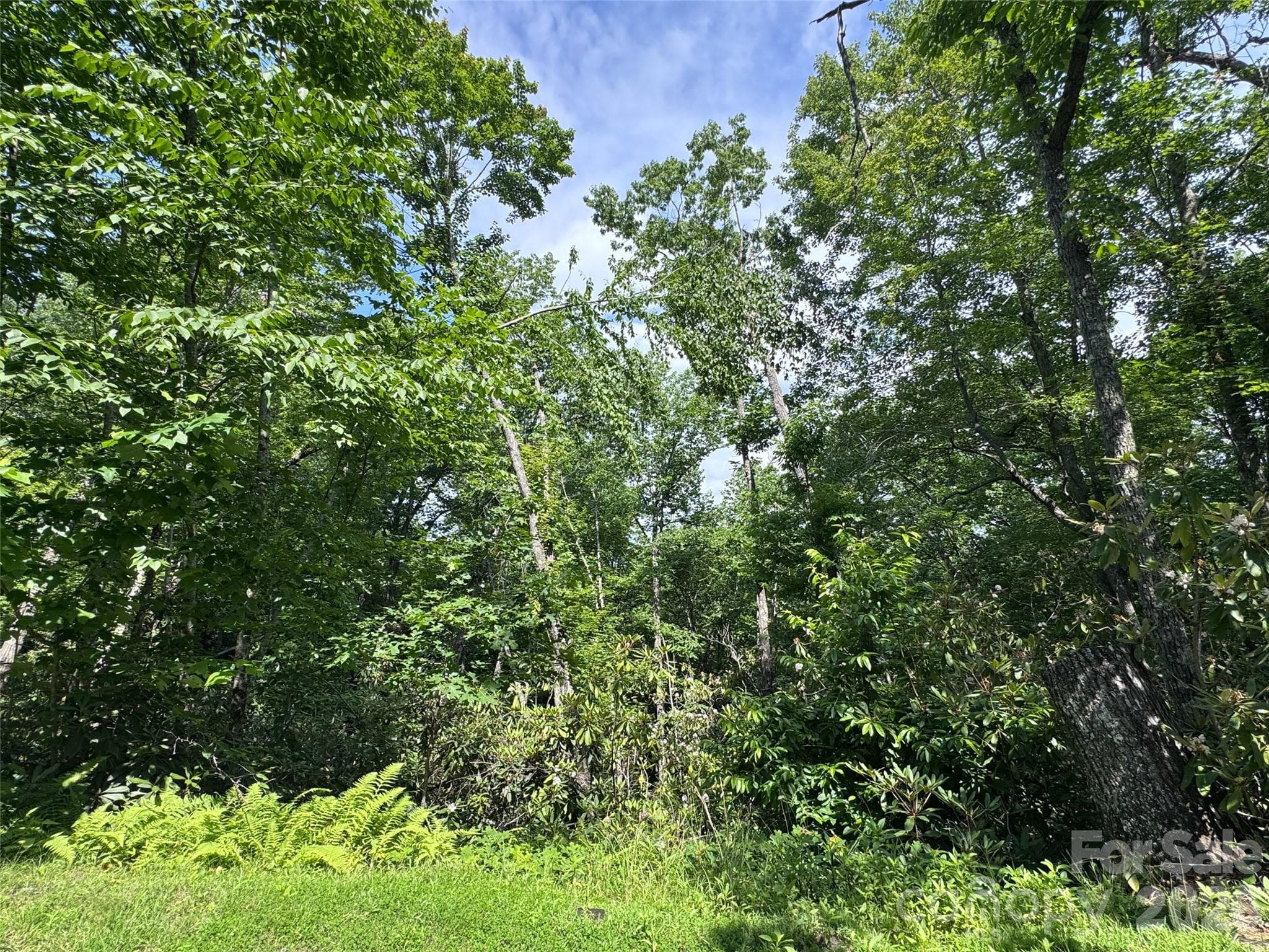 Lot at Brevard, photo 18 of 33