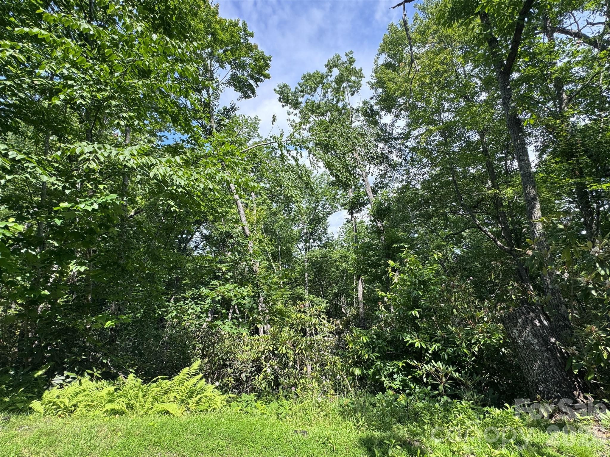 Lot at Brevard, photo 19 of 33