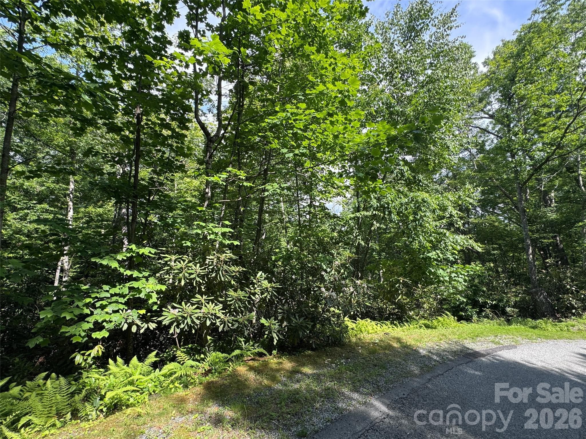 Lot at Brevard, photo 20 of 33