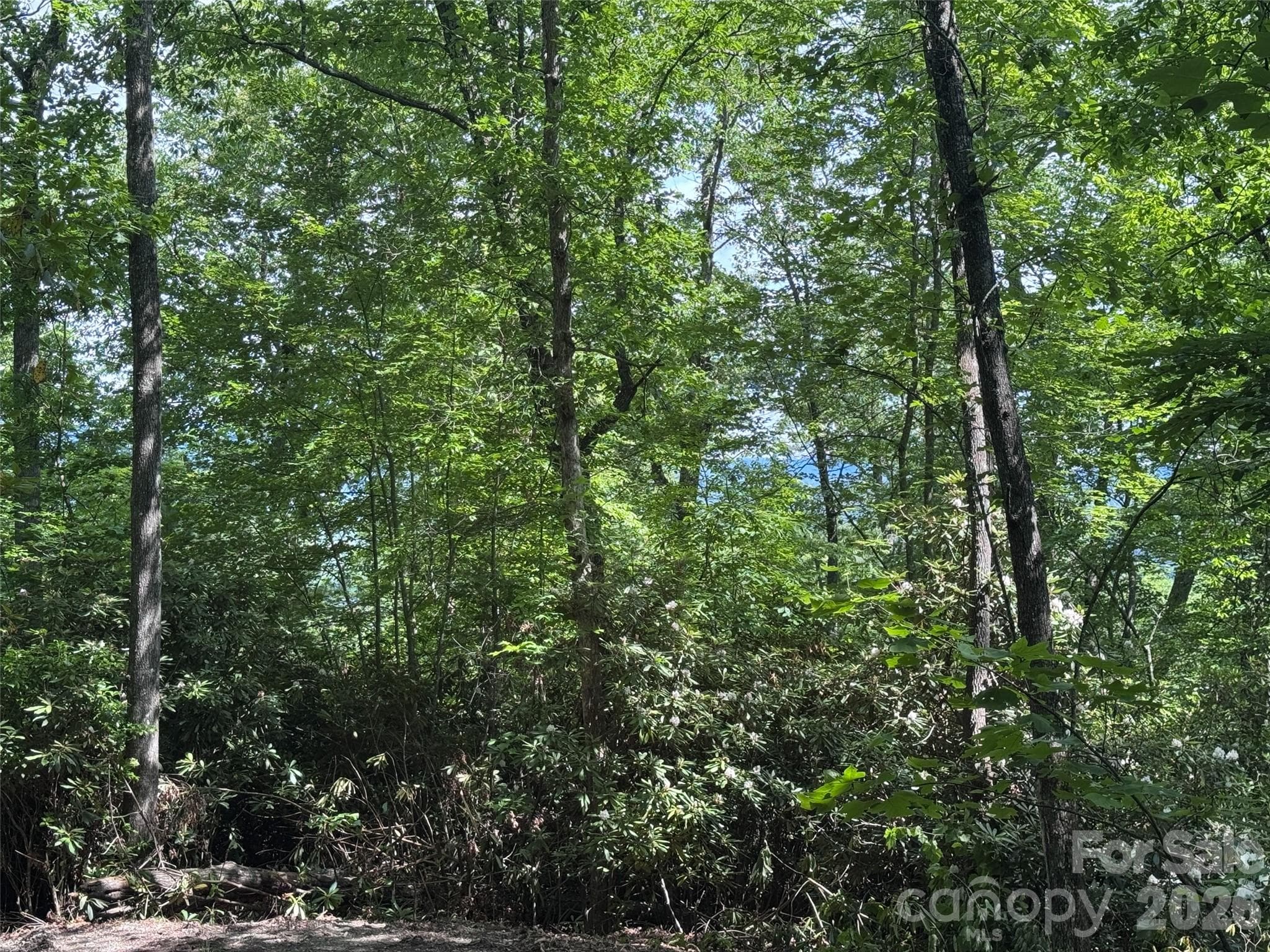 Lot at Brevard, photo 22 of 33
