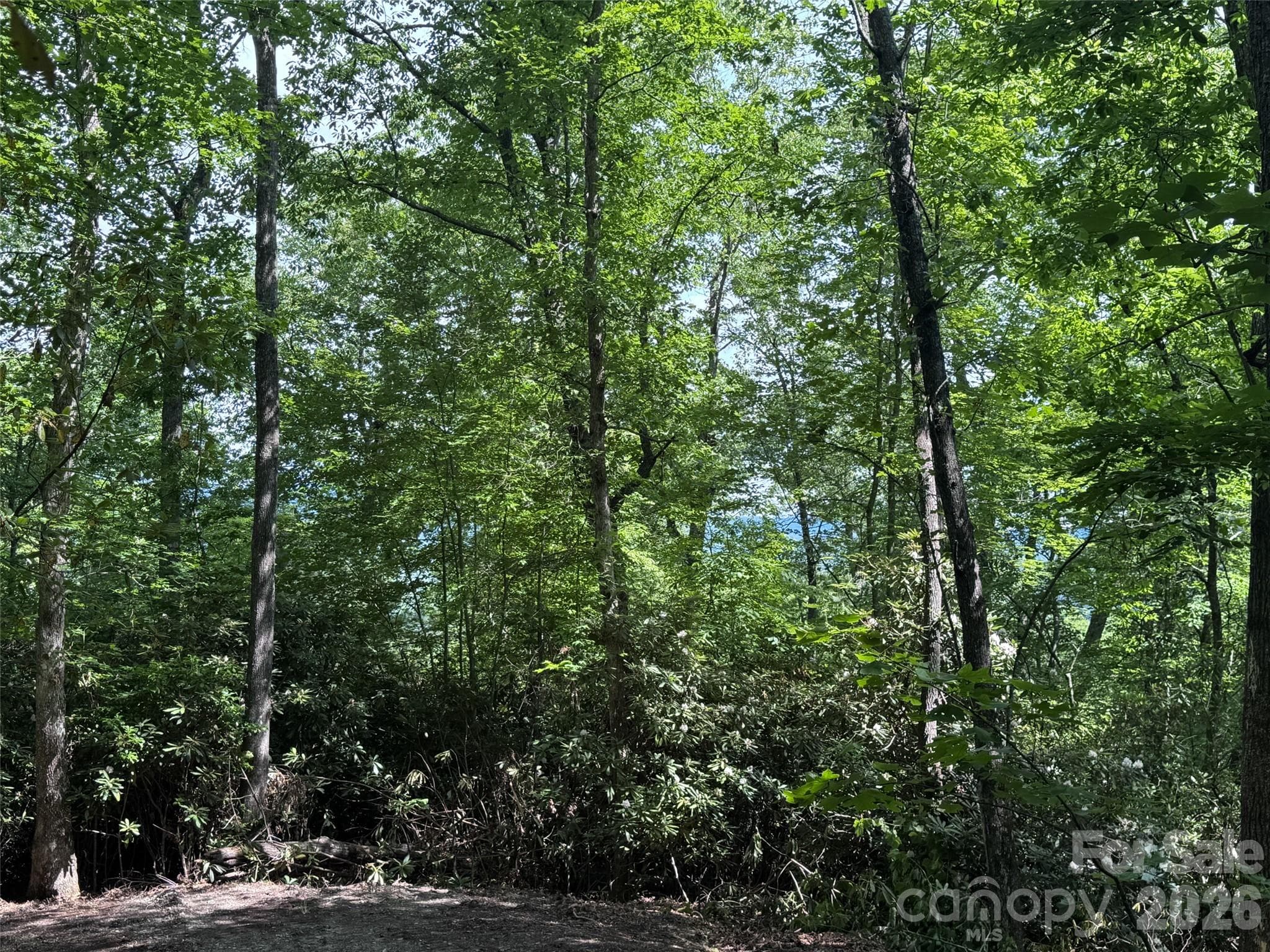 Lot at Brevard, photo 23 of 33