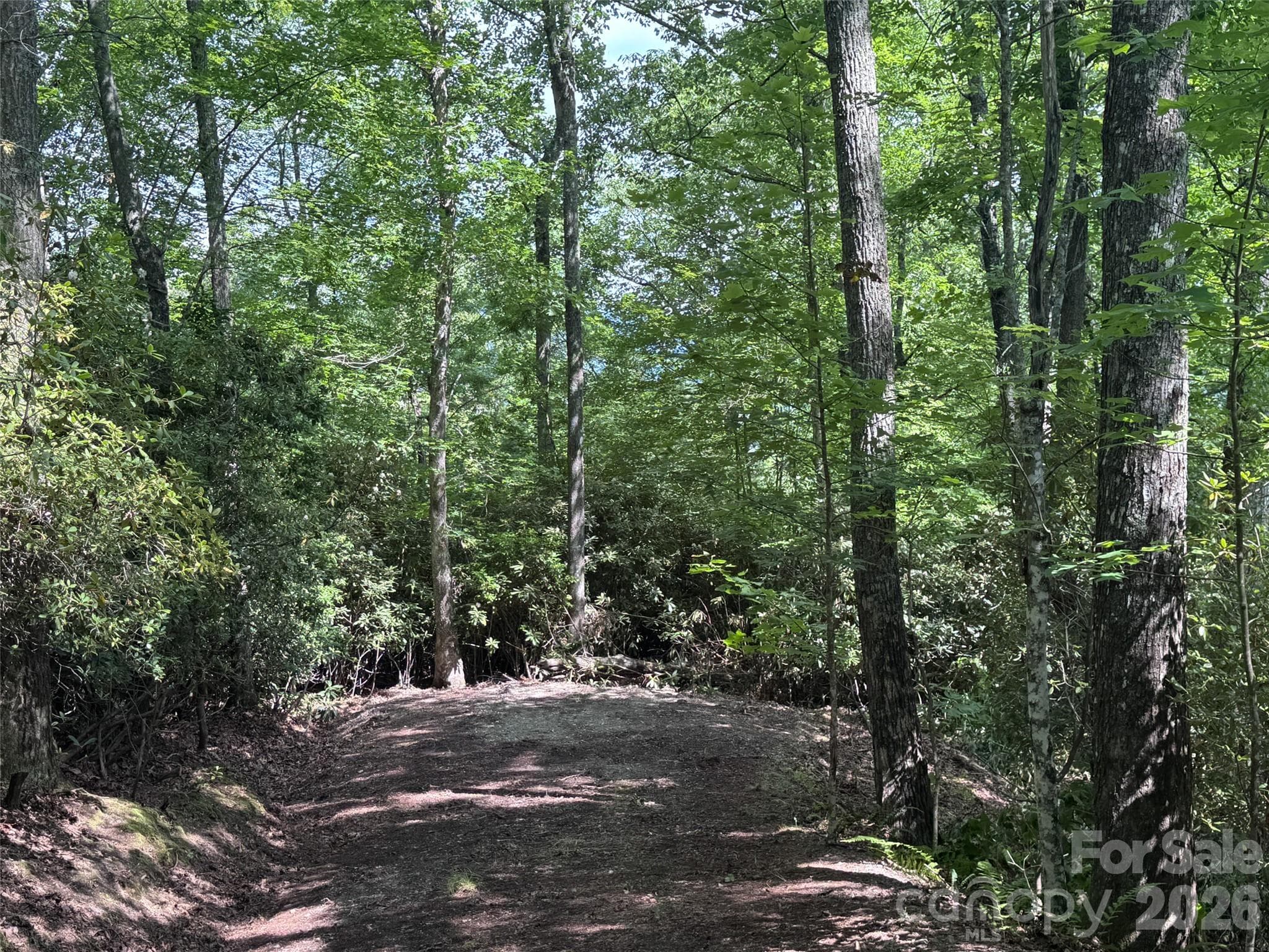 Lot at Brevard, photo 24 of 33