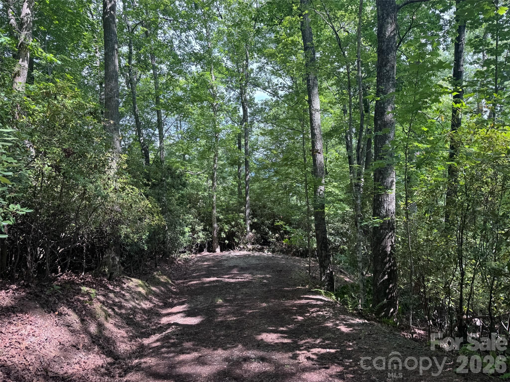 Lot at Brevard, photo 26 of 33