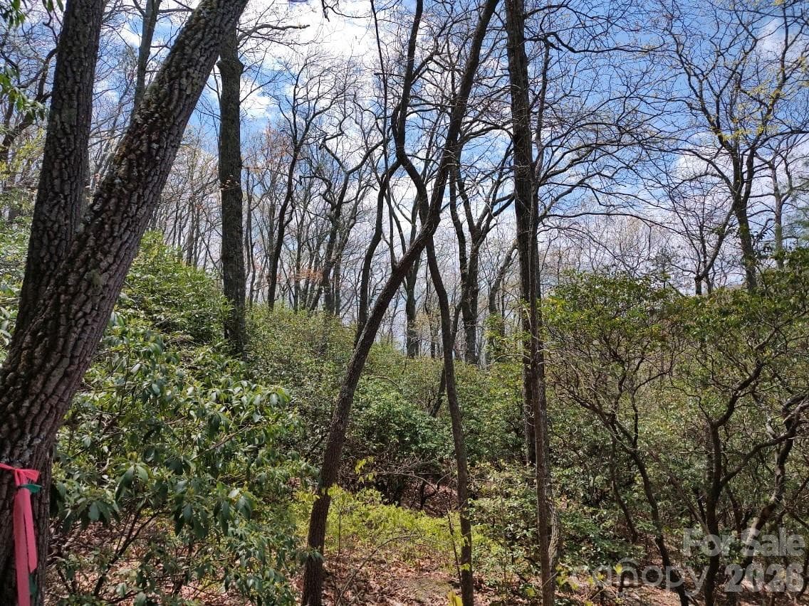 Beautiful Sunny Day - 99999 Red Oak Forest Road, Fairview
