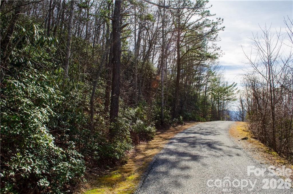 Excellant paved Road Frontage - 99999 Red Oak Forest Road, Fairview