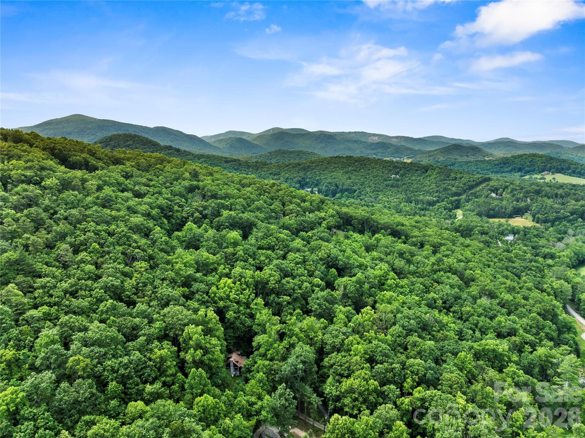 Privacy, yet only minutes to Asheville - 48 Buck Ridge Road, Fairview