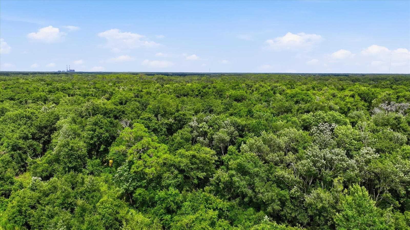 Land at 13805 COUNTY ROAD 675, PARRISH, photo 10 of 61