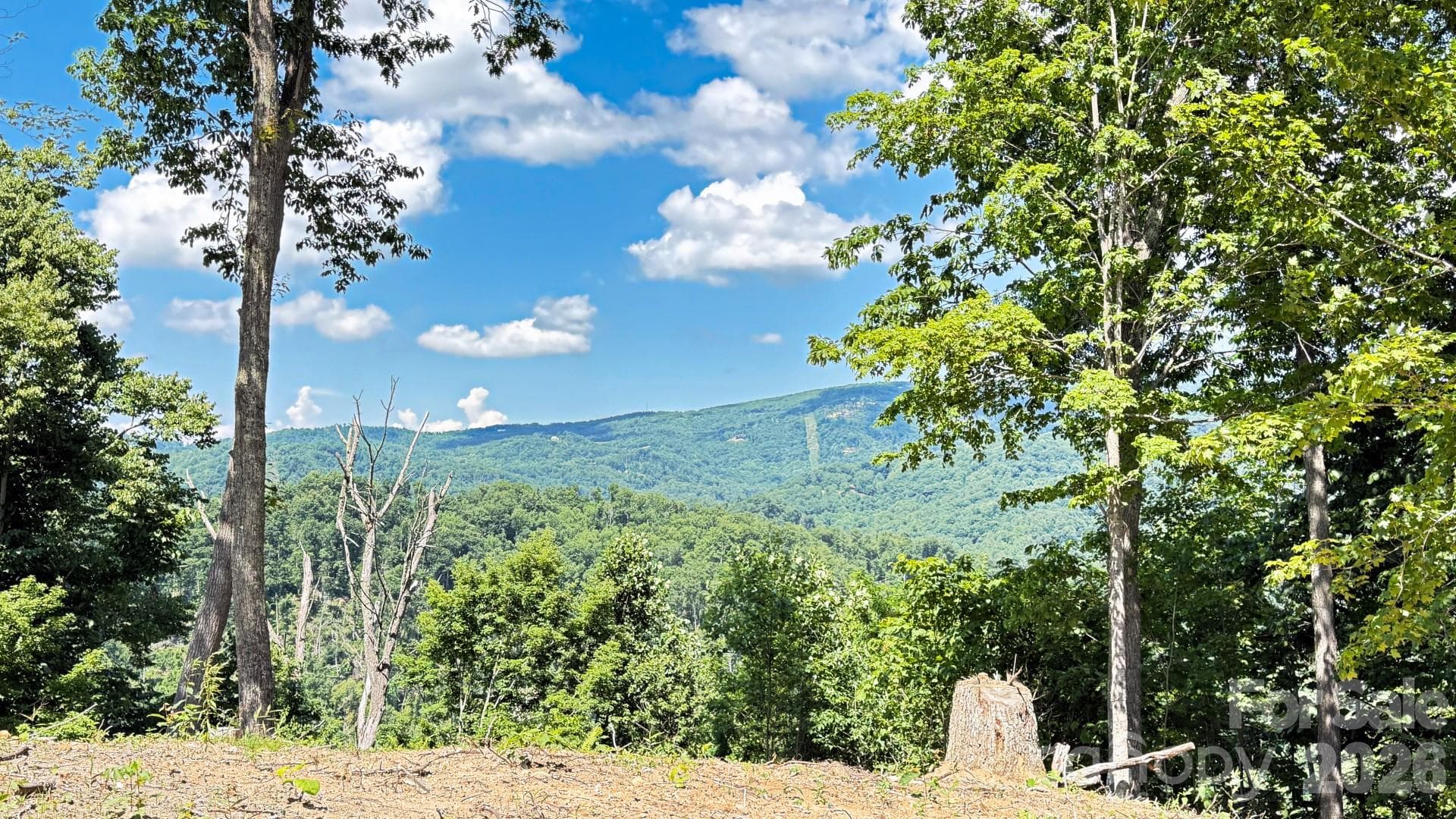 Lot at Lot 6 Pinnacle View, Elk Park, photo 15 of 19