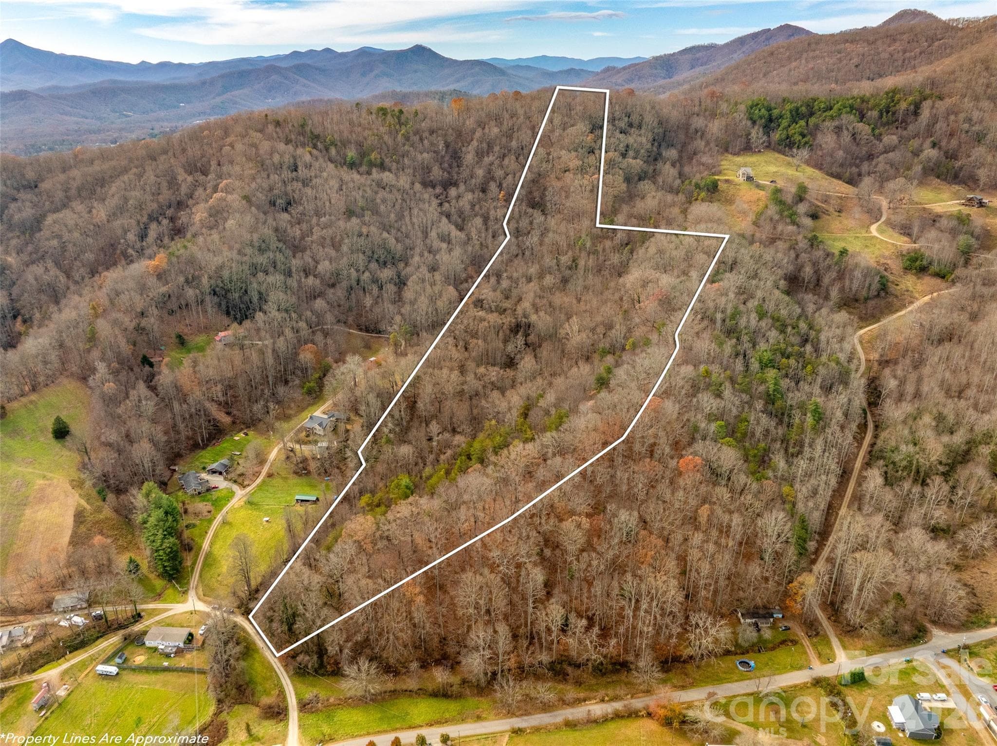 All of this sits just minutes from shopping, dining, the Blue Ridge Parkway, and the best of what the area offers. - 99999 Bay Horse Trail, Candler