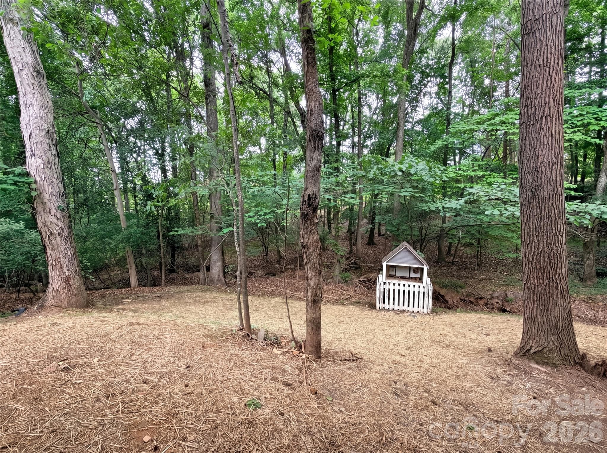 Single Family Residence at 5908 Bookbinders Lane, Charlotte, photo 19 of 21