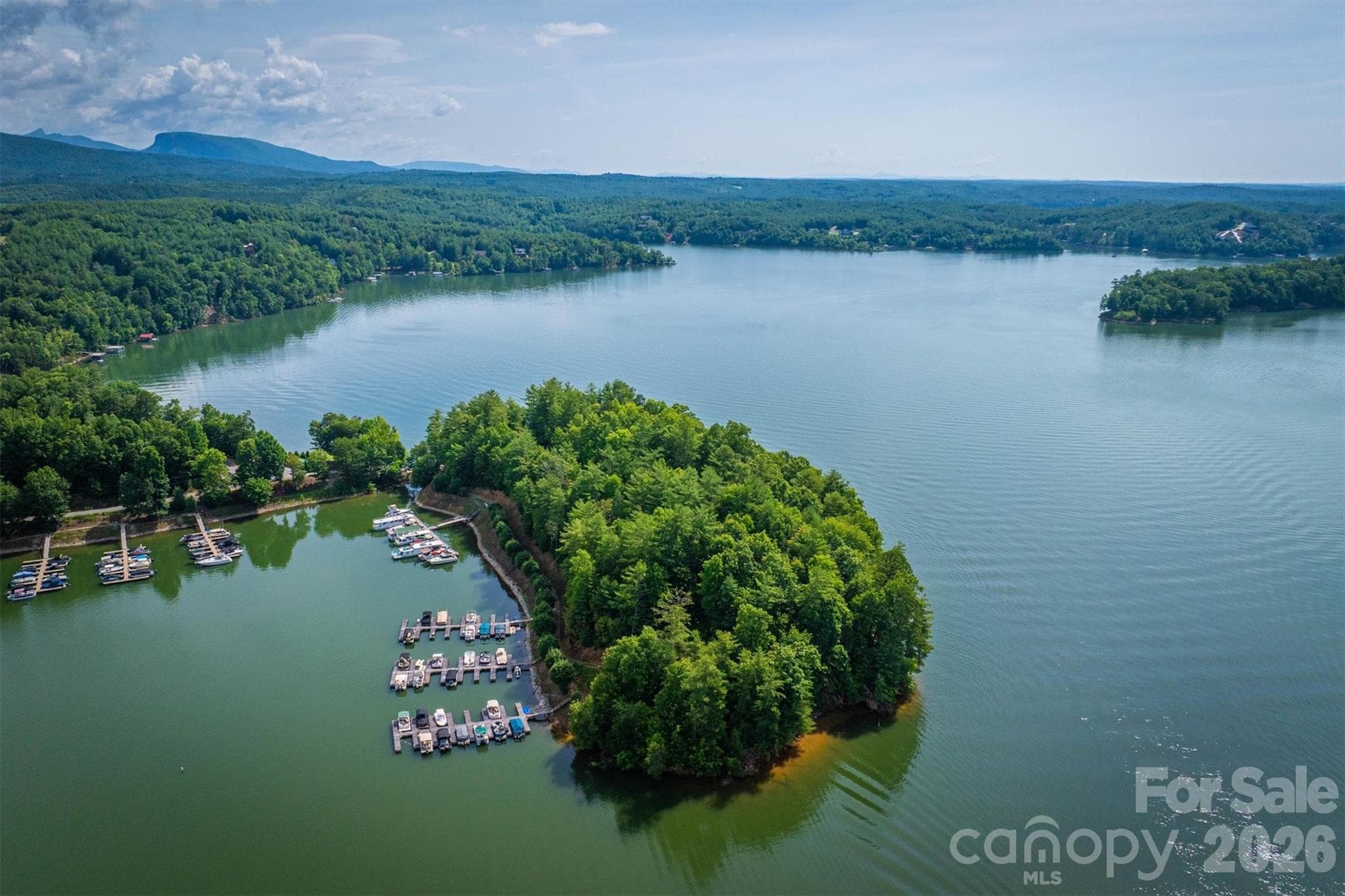 Lot at Nebo, photo 8 of 19