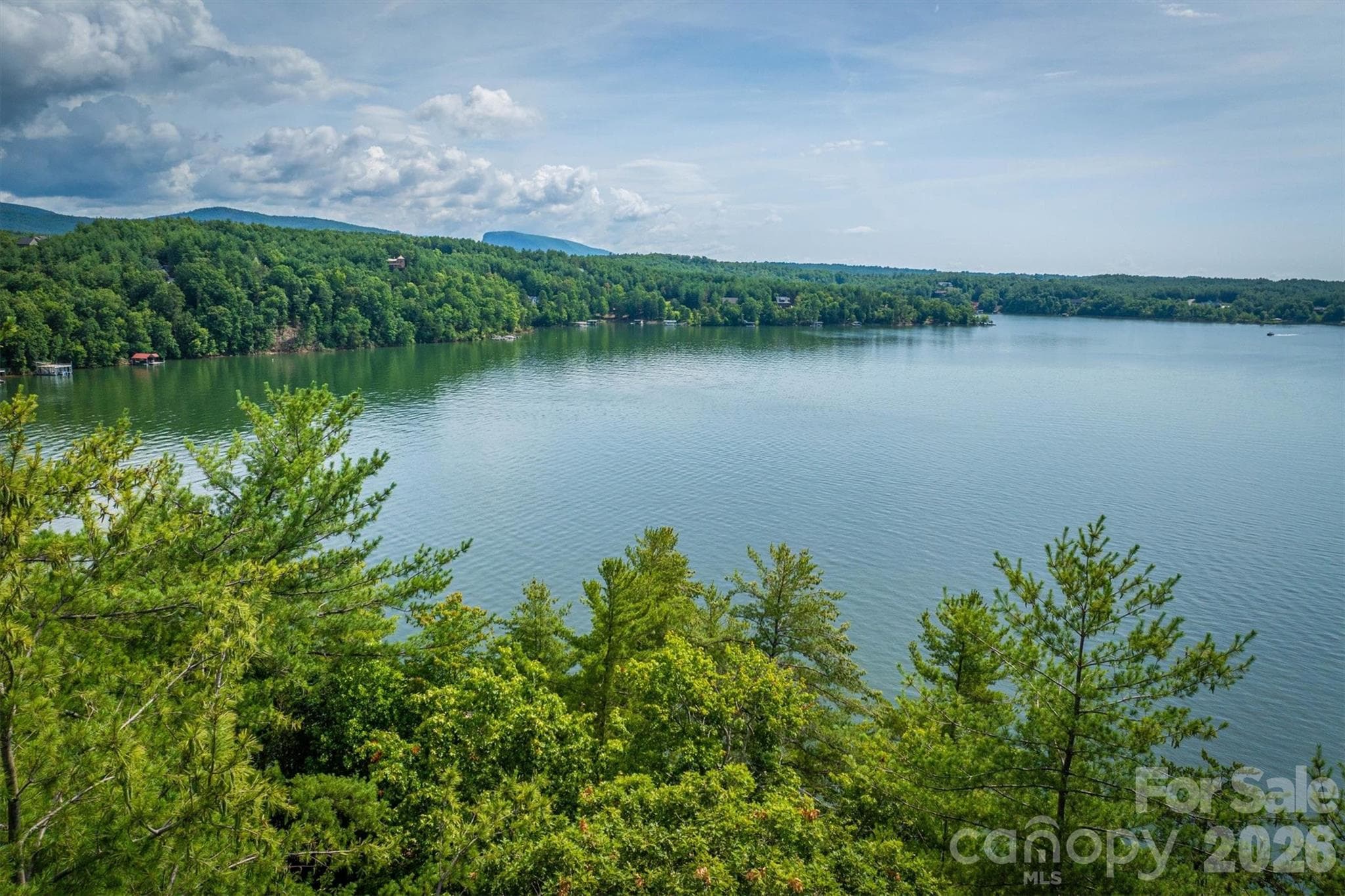 Lot at Nebo, photo 9 of 19