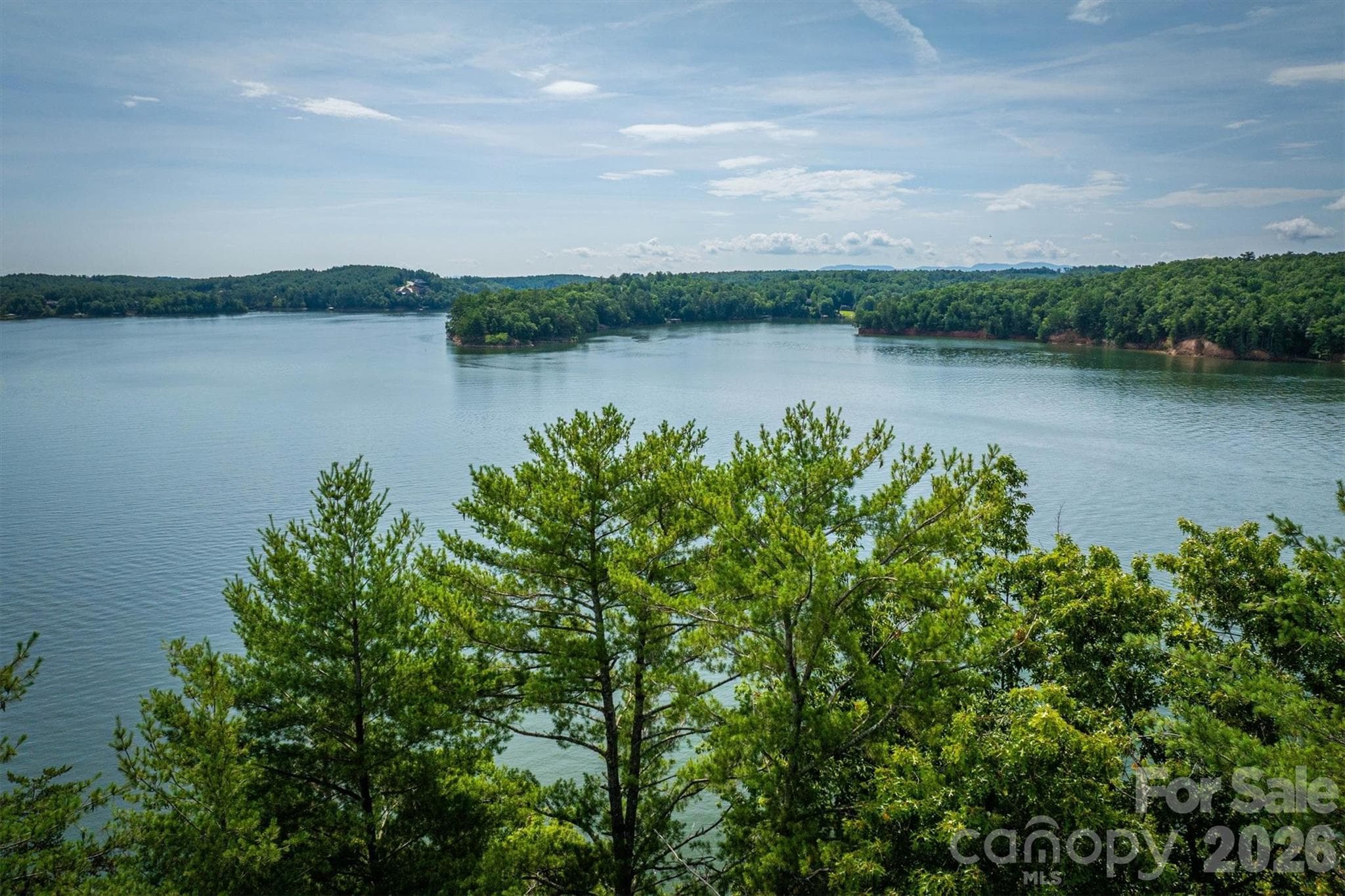 Lot at Nebo, photo 10 of 19