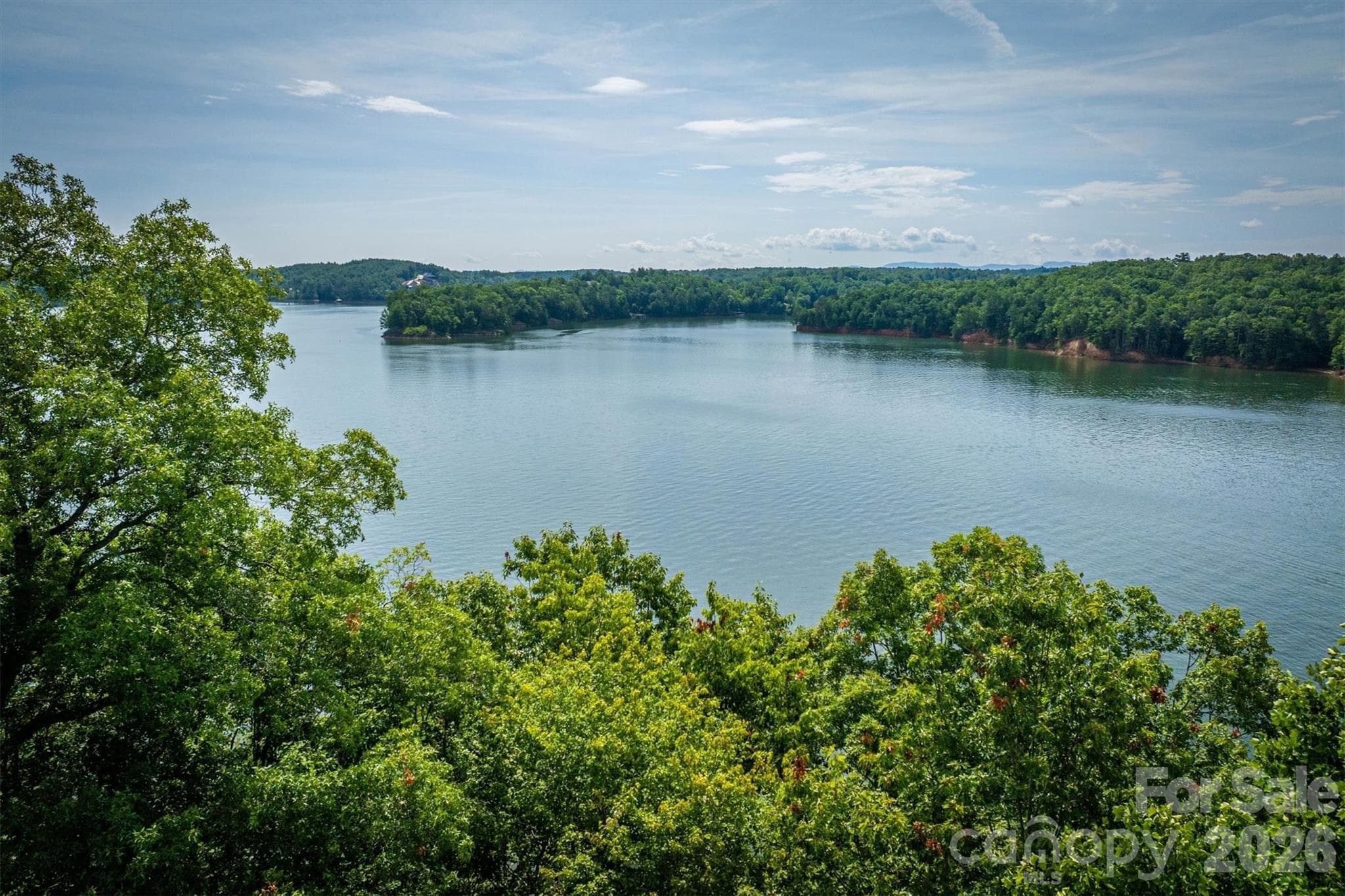 Lot at Nebo, photo 11 of 19