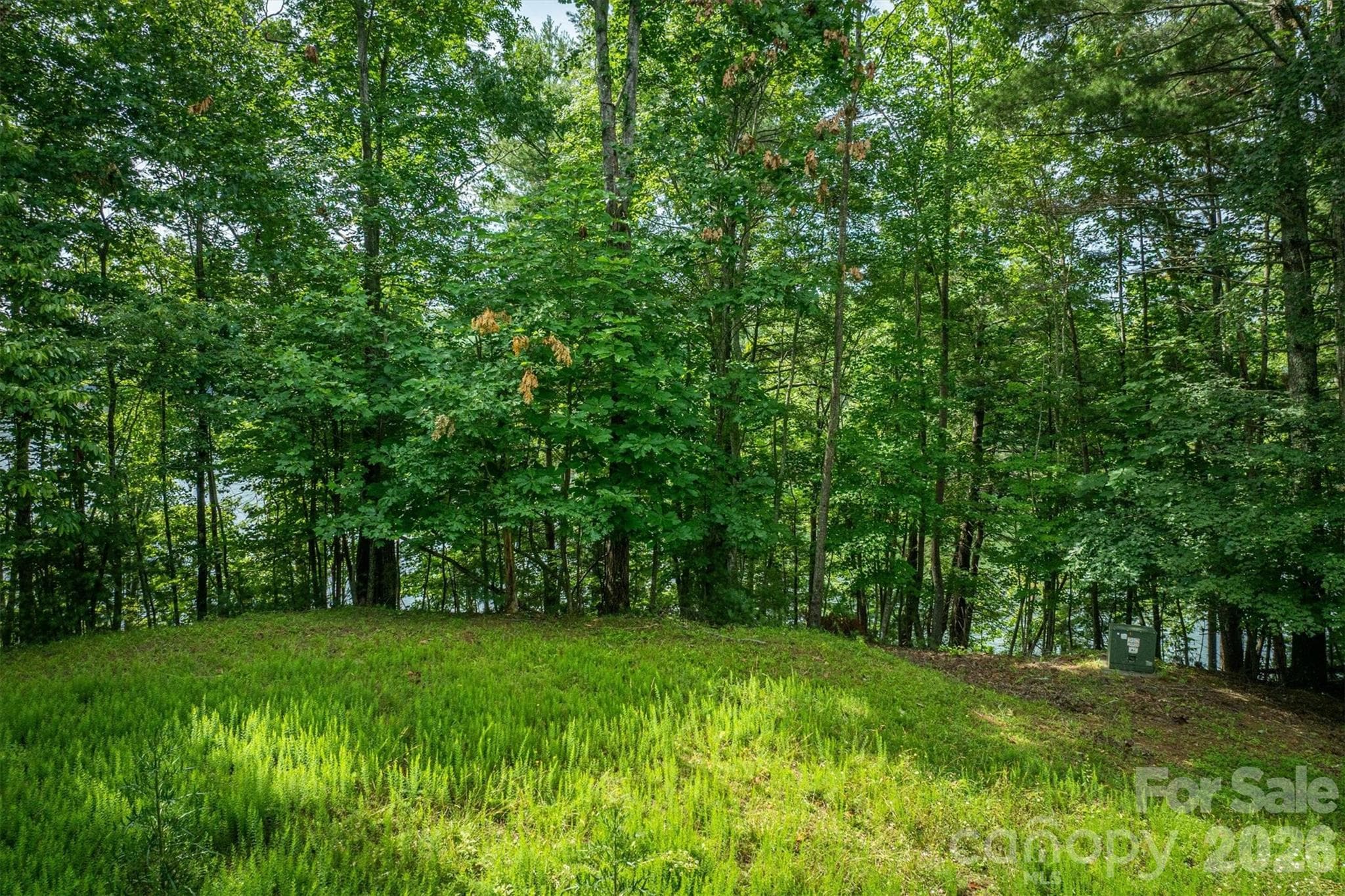 Lot at Nebo, photo 15 of 19