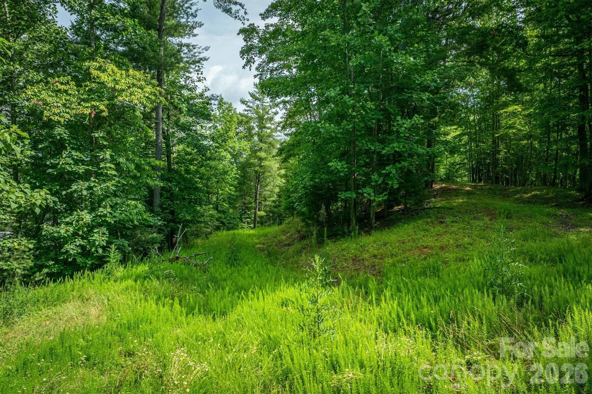 Lot at Nebo, photo 16 of 19