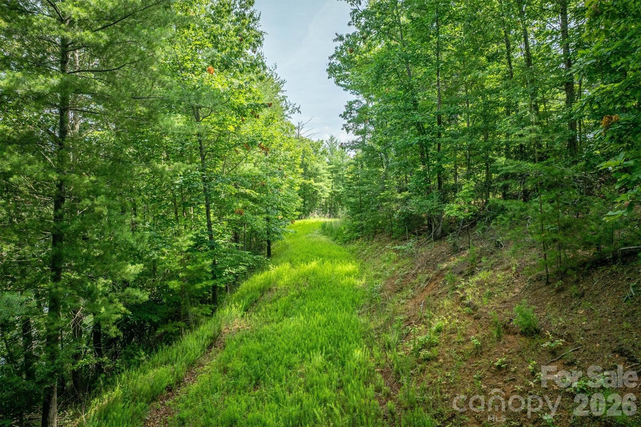 Lot at Nebo, photo 17 of 19