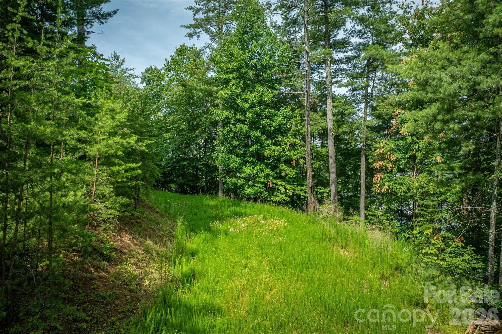 Lot at Nebo, photo 18 of 19