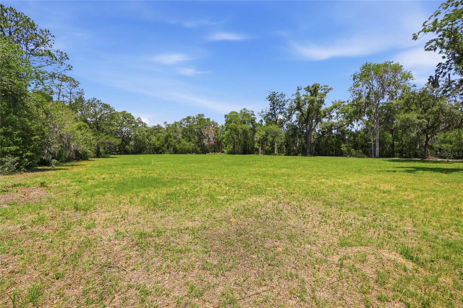 Front of lot looking towards back and side (13th Place) street.  The white markers are to give an approximate idea of a possible location of the house only and they are not exact.  Wide 2.2 acre lot. - 1224 NW 143RD ST, NEWBERRY