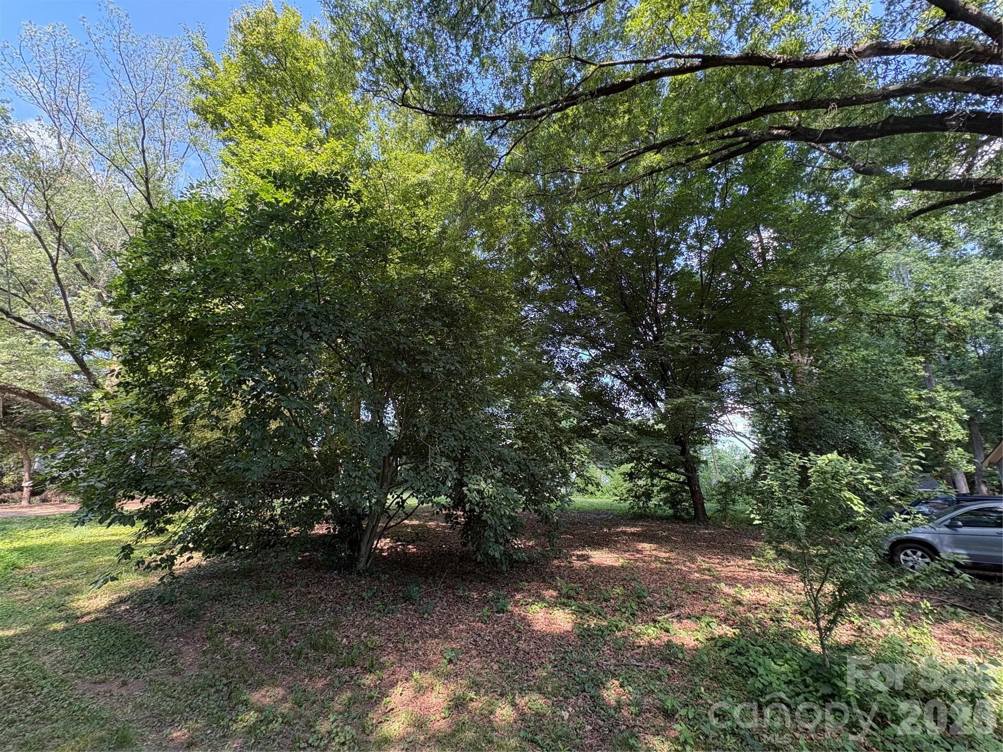 Lot at Charlotte, photo 3 of 3