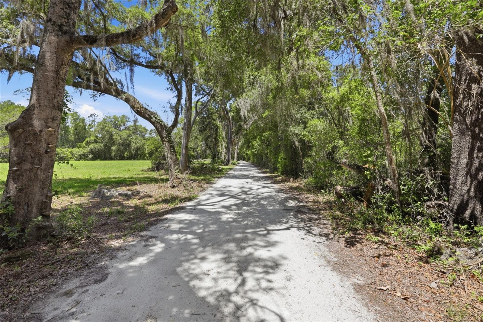 Possible driveway entrance from this tree lined street (NW 13th Place) that is a dead end. - 1224 NW 143RD ST, NEWBERRY