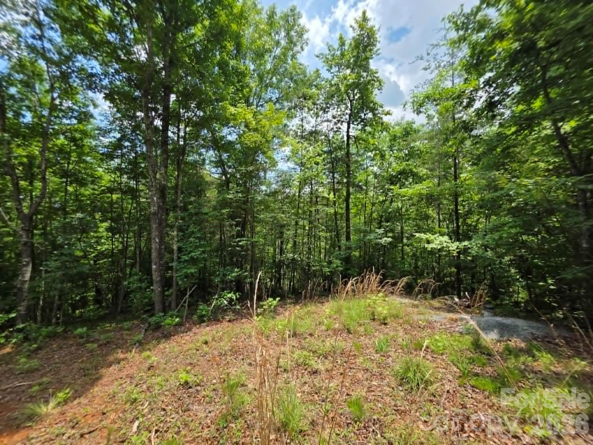 Acreage at 169 Fairfield Lane, Marion, photo 2 of 16