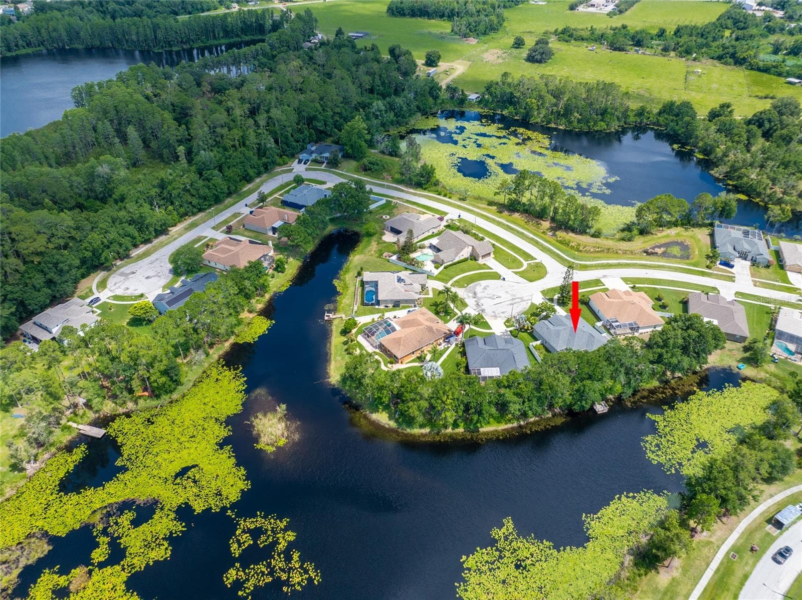 DRONE SHOT OF HOME AND BETTER SHOT OF LAKE - 21629 SILVER BAY PL, LAND O LAKES