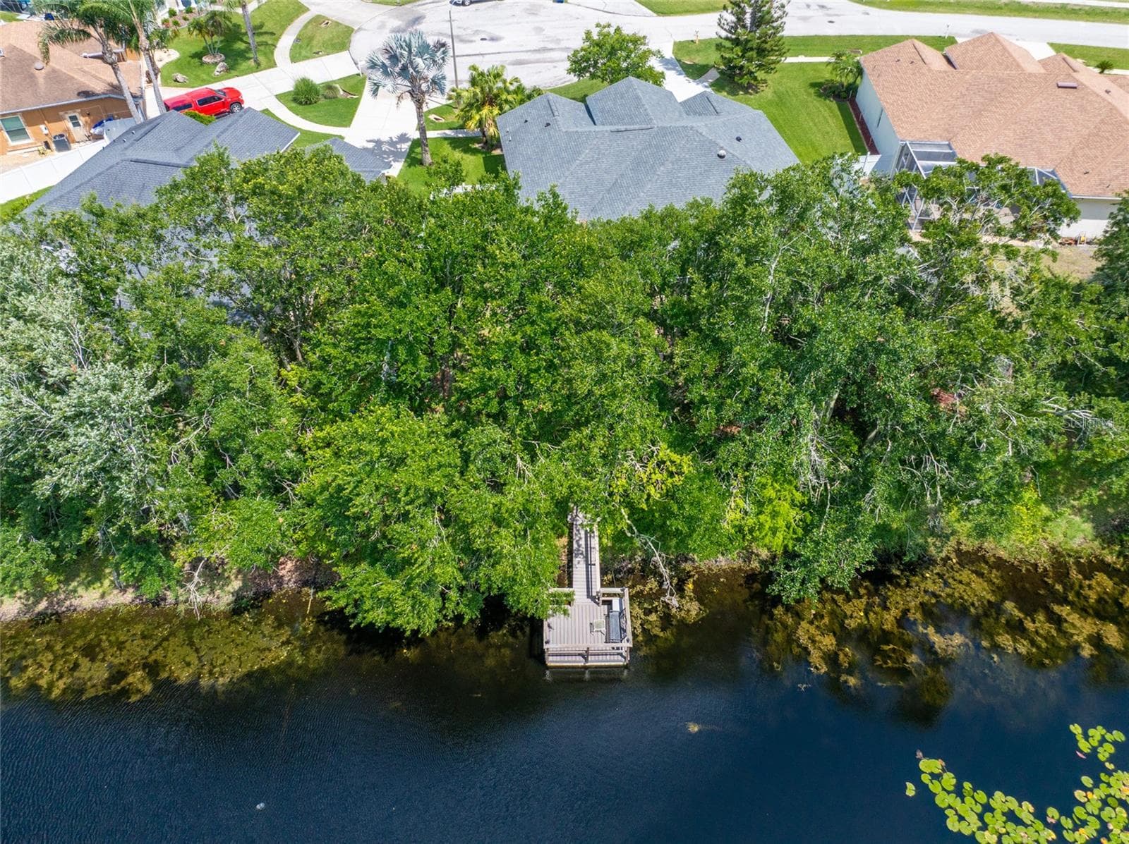 AEREAL VIEW OF HOUSE DOCK WITH TREES AND HOUSE - 21629 SILVER BAY PL, LAND O LAKES
