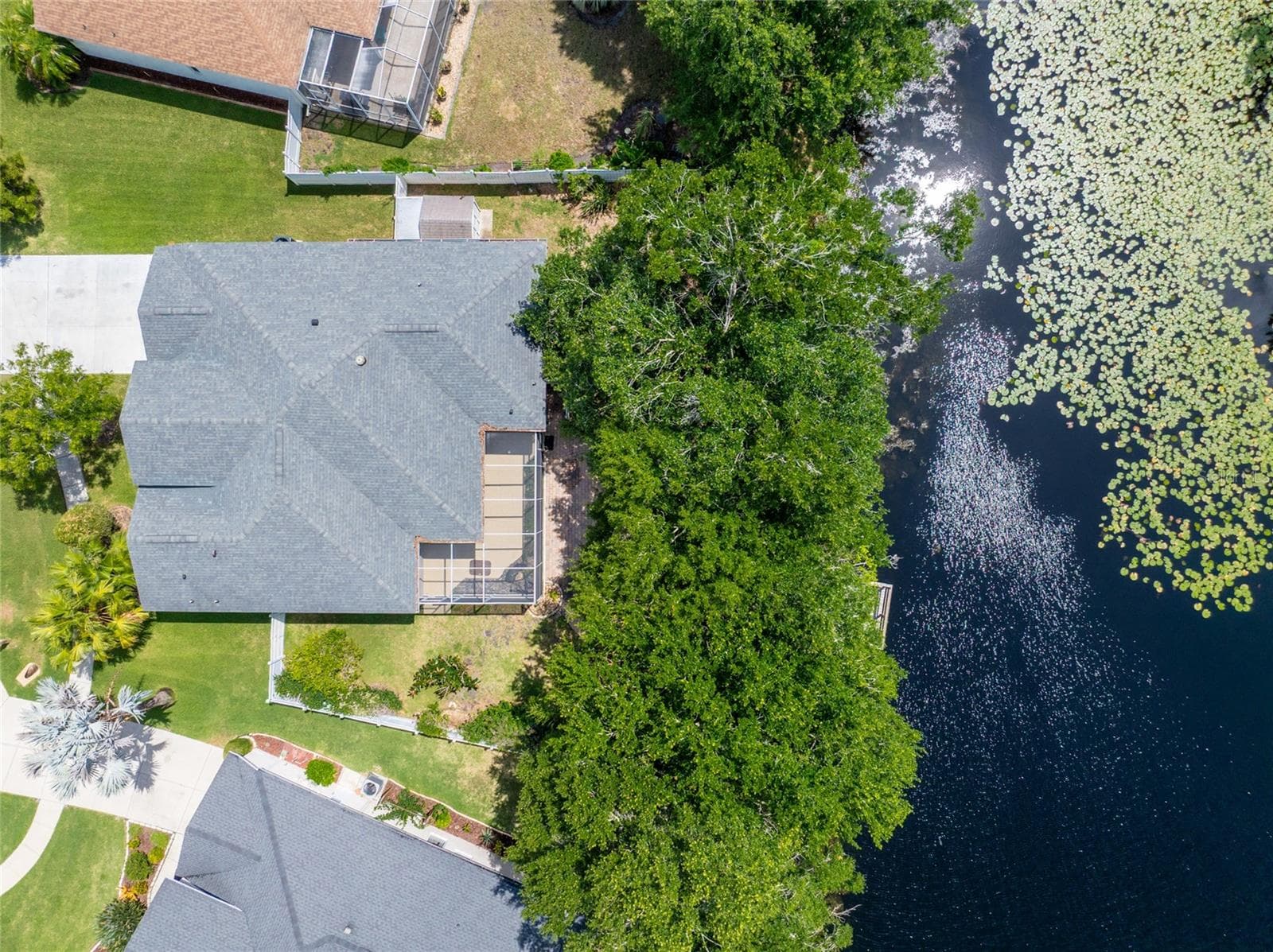 DRONE VIEW OF HOUSE AND TREES AND LAKE - 21629 SILVER BAY PL, LAND O LAKES
