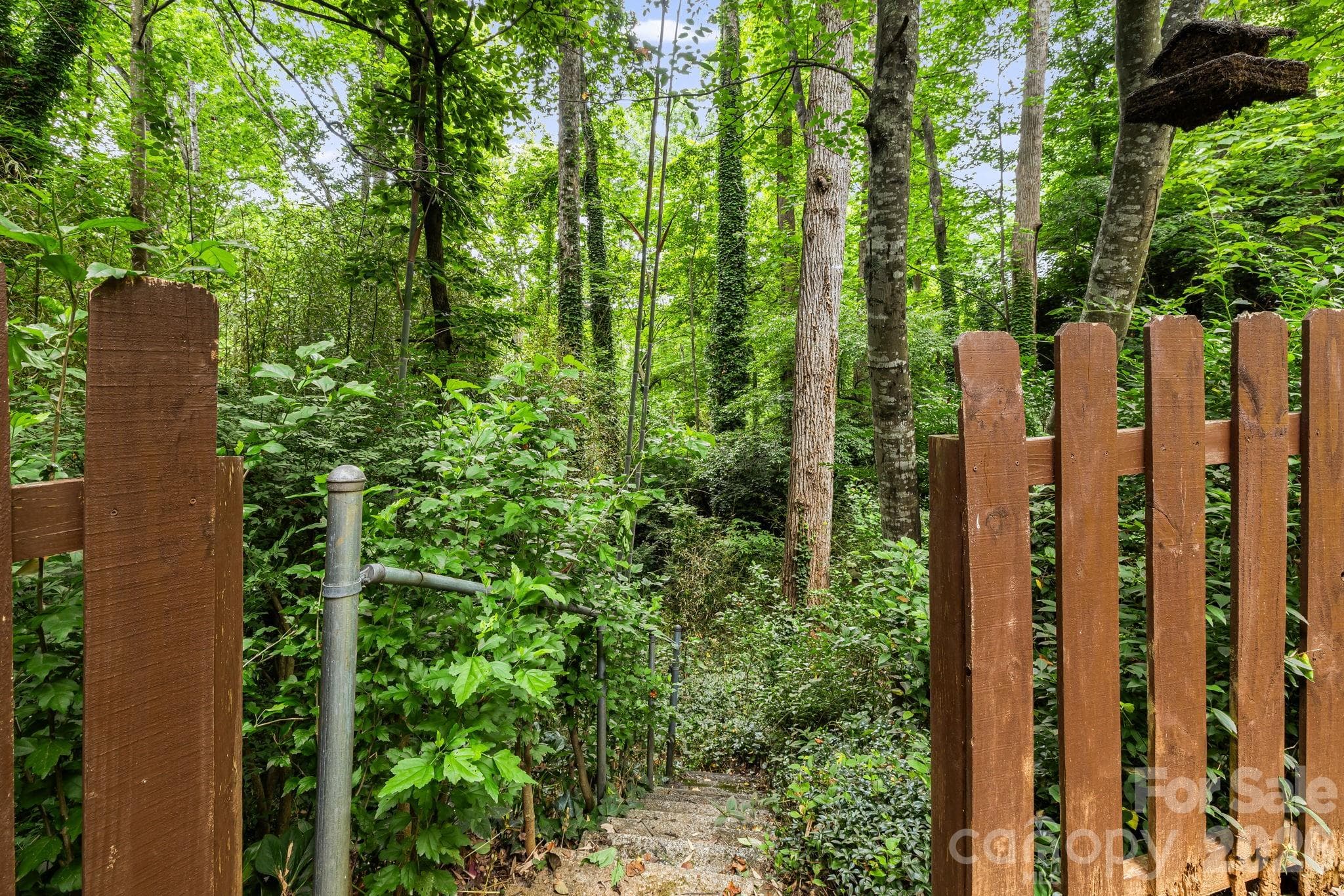 Single Family Residence at 10 Botany View Court, Asheville, photo 43 of 46