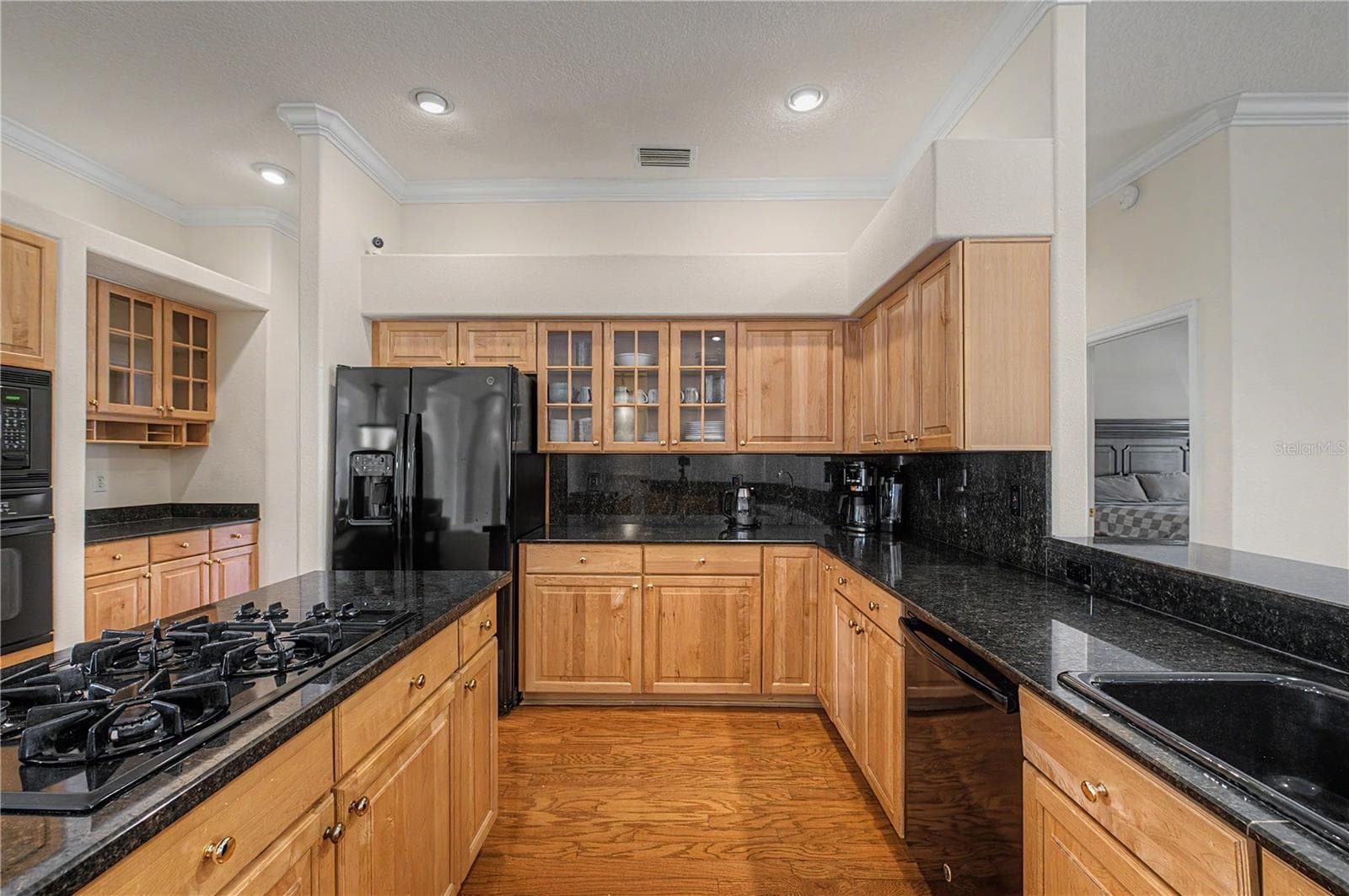 Single Family Residence at 18615 CHEMILLE DR, LUTZ, photo 7 of 40