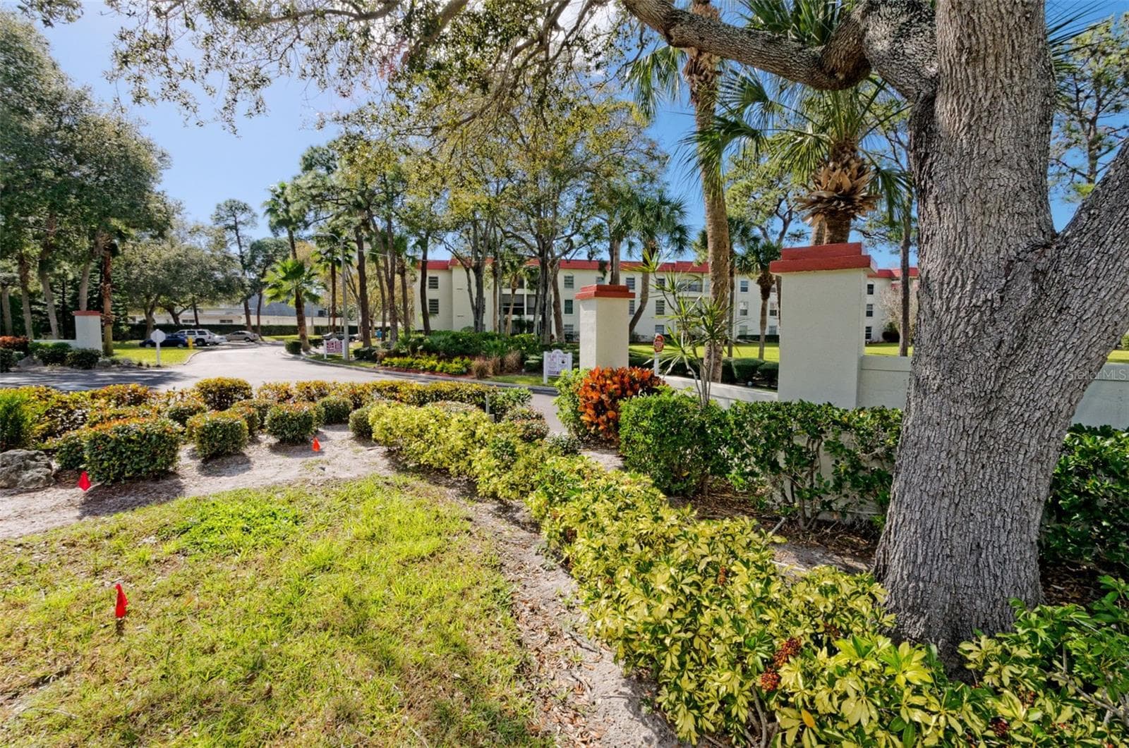 Townhouse at 2700 BAYSHORE BLVD #525, DUNEDIN, photo 47 of 68