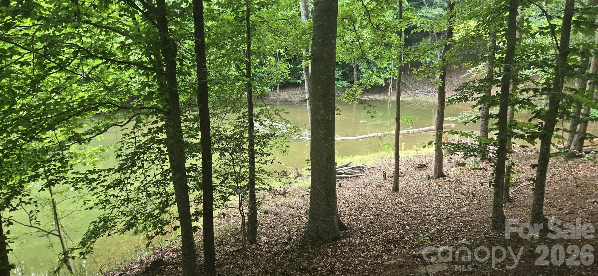 cove portion of water front - 154 Oak Point Lane, Stony Point