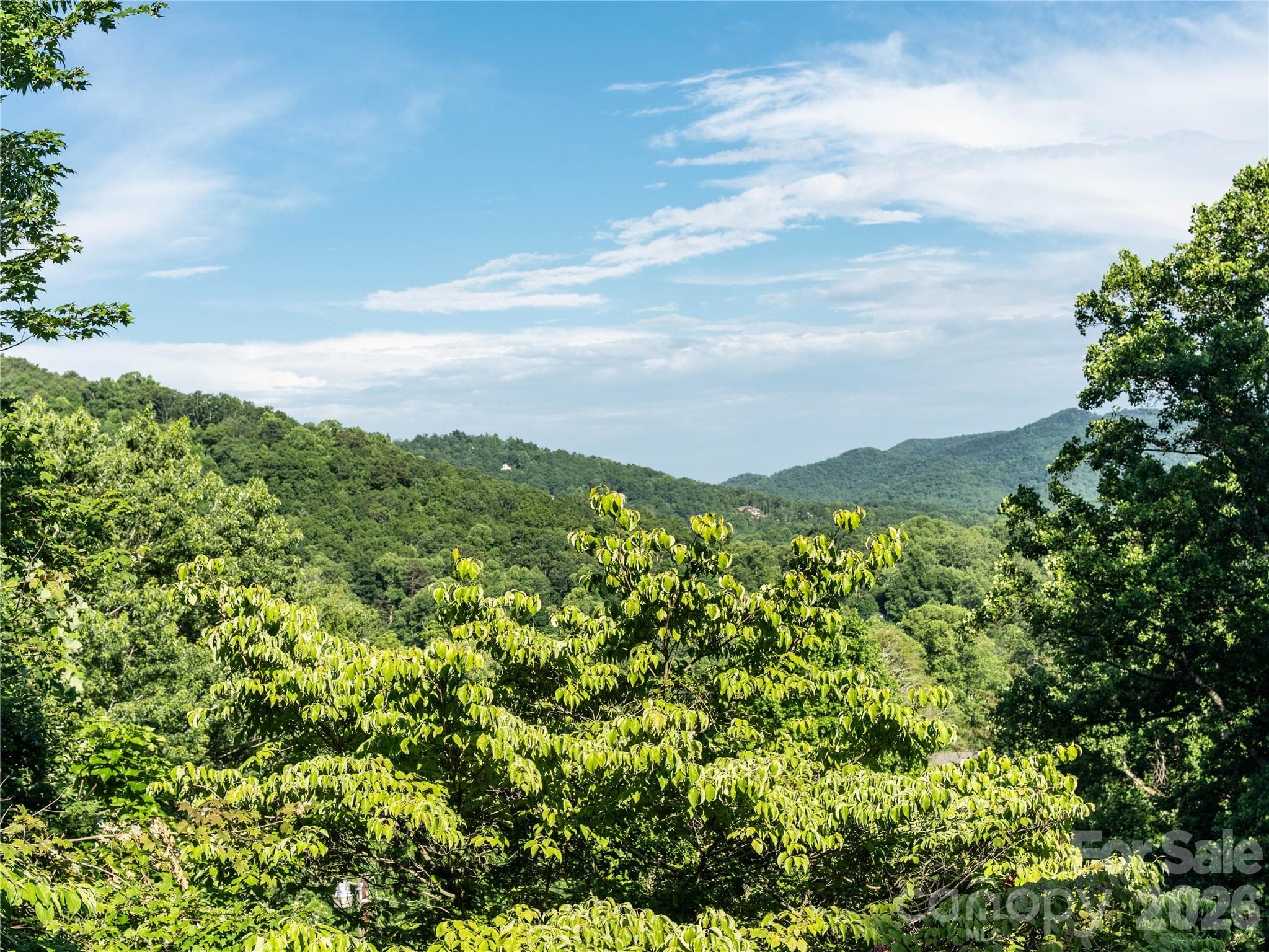 Beautiful views - Black Mountain