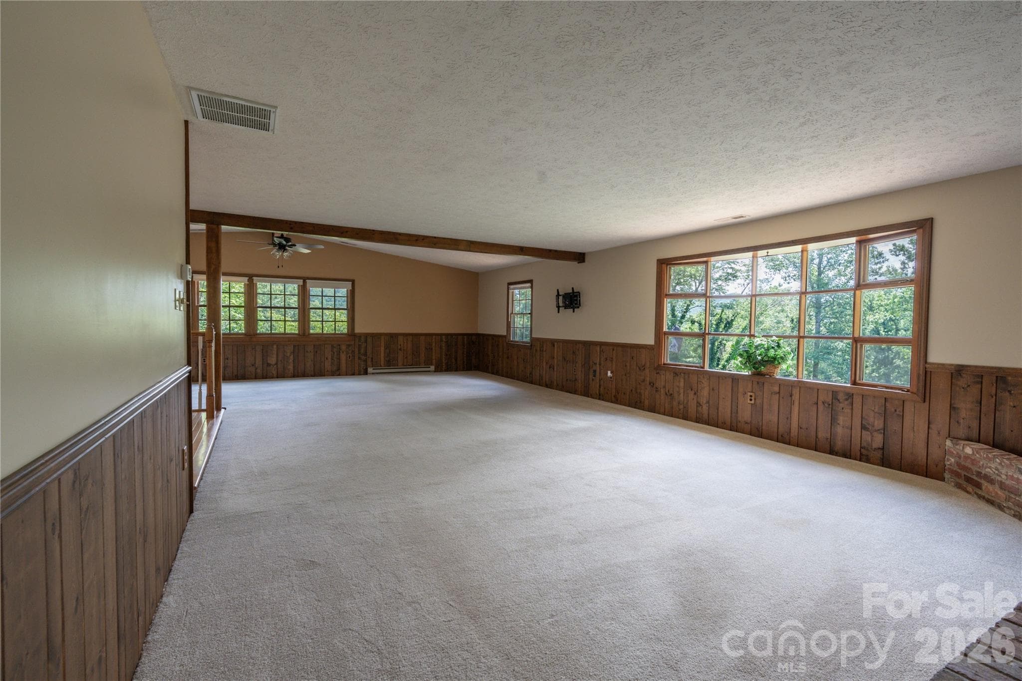 Extra large family/living room on main level - Black Mountain