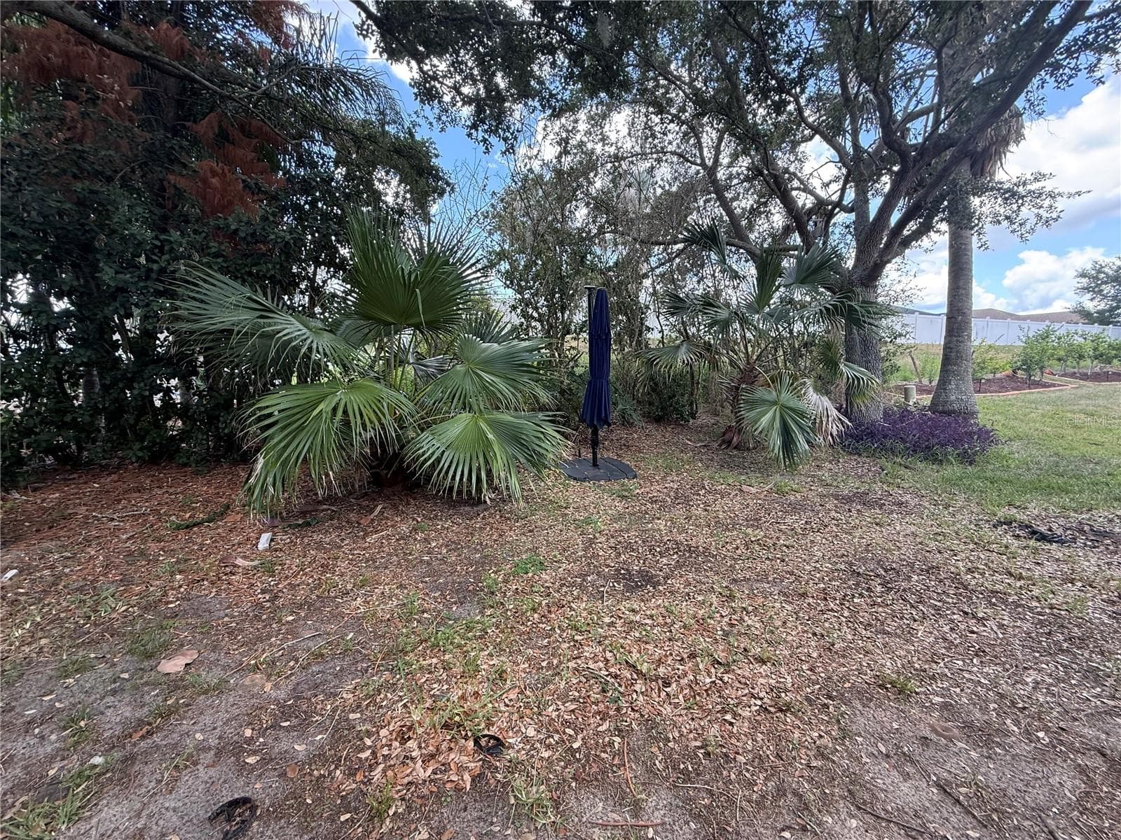 Backyard - 1287 LEGENDARY BLVD, CLERMONT